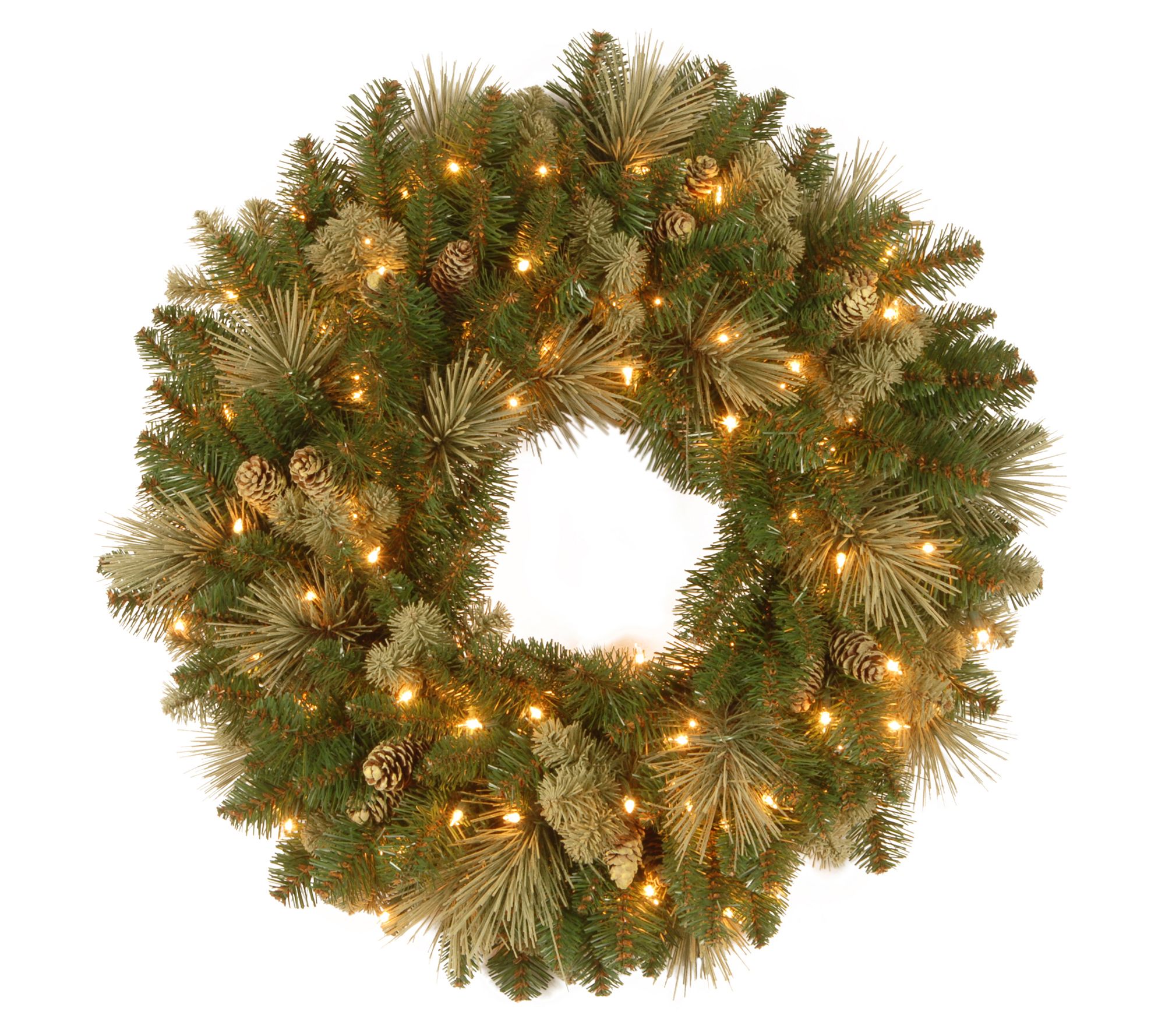 National Tree Company 24" Carolina Pine Wreath