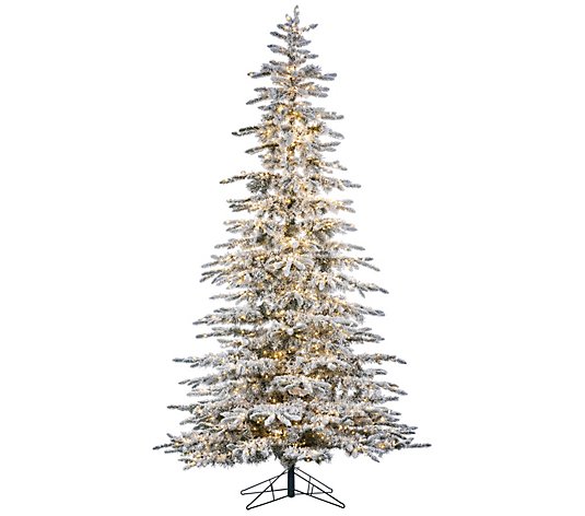 9'H Flocked Pre-Lit Mountain Pine by Sterling Co