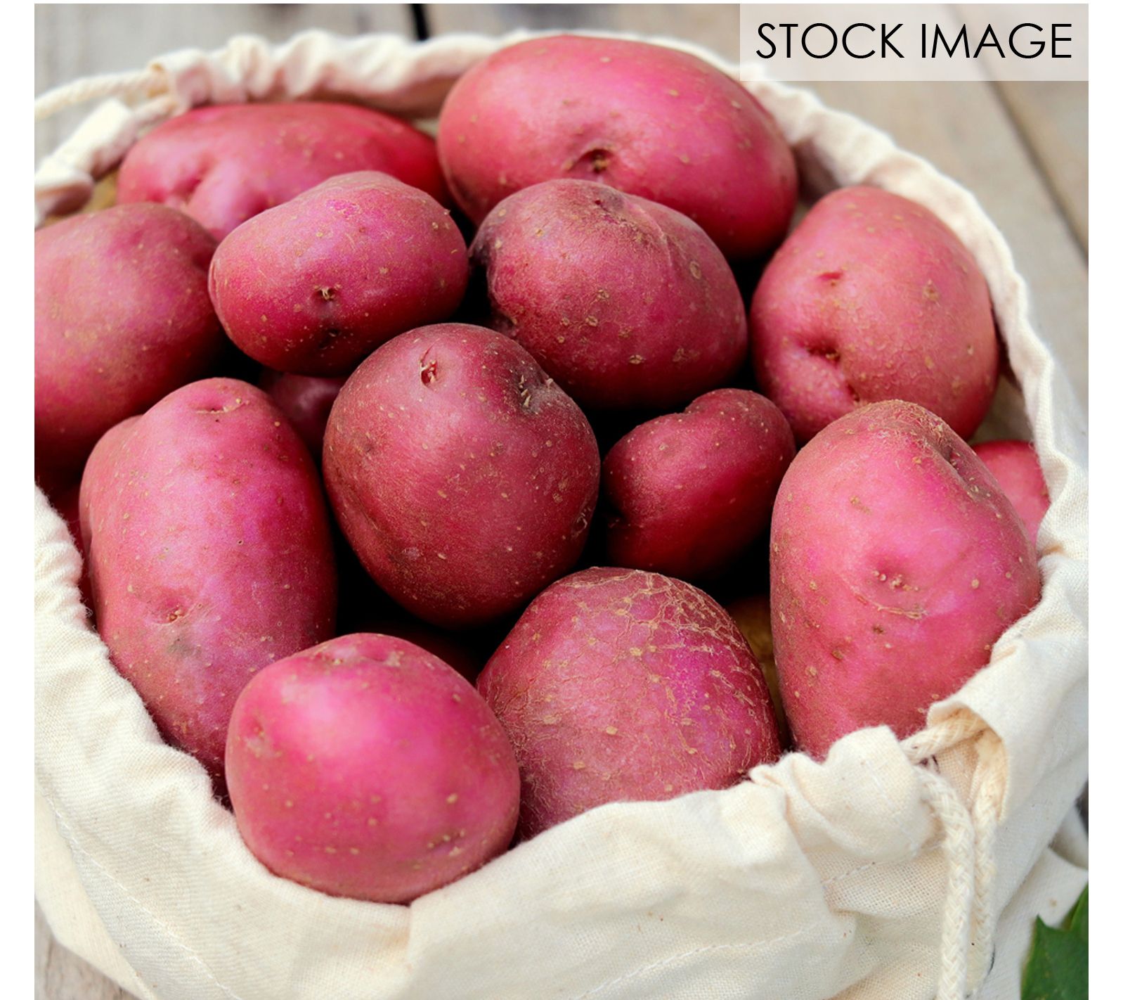 Van Zyverden Potatoes Dark Red Norland Set of 12 Bulbs