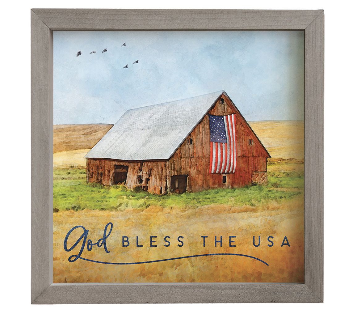 Sincere Surroundings 10" God Bless The USA Rust c Frame