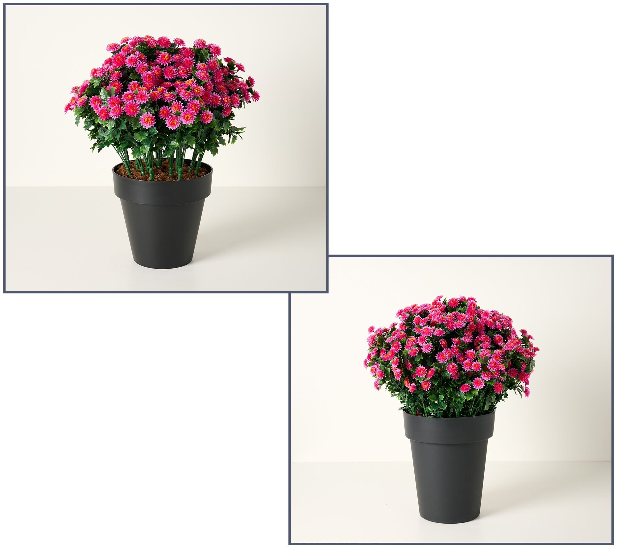 Wicker Park Indoor/Outdoor Potted Faux Mums Collection