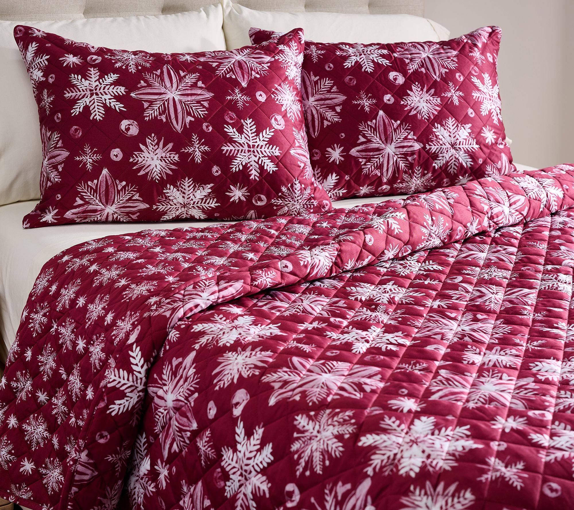"As Is" Snowflake Reversible Queen Quilt Set by Kim Gravel