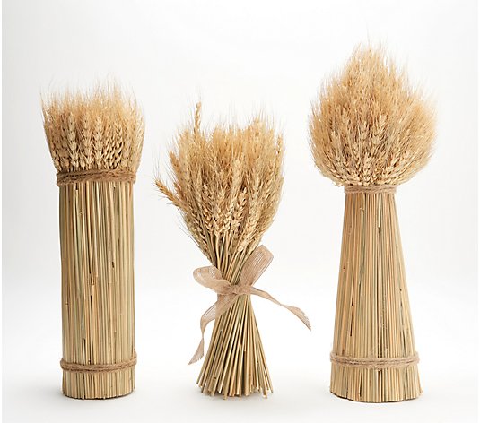 Home Reflections Set of 3 16" Wheat Bundles