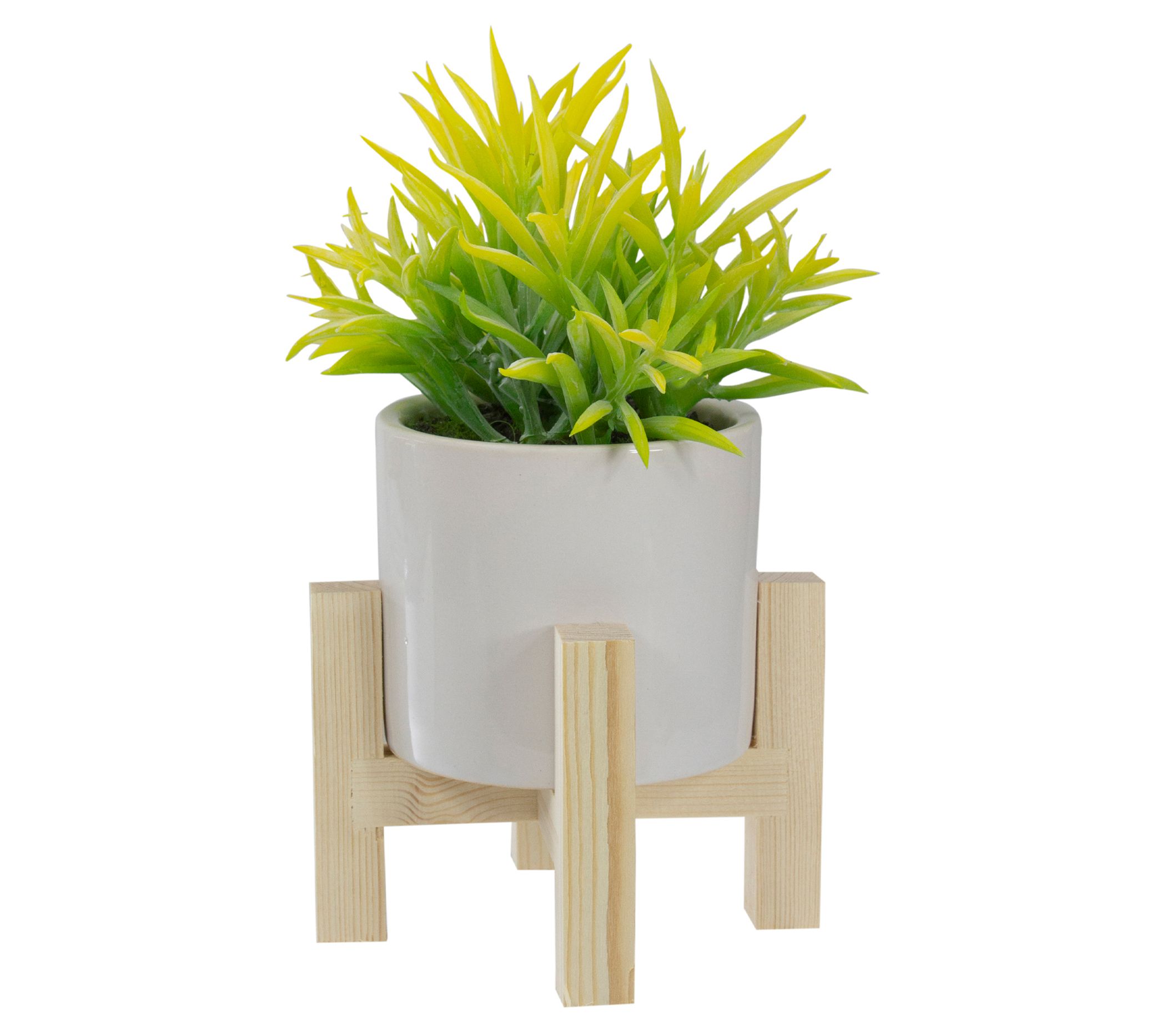 Northlight 8" Potted Artificial Succulent w/Stand