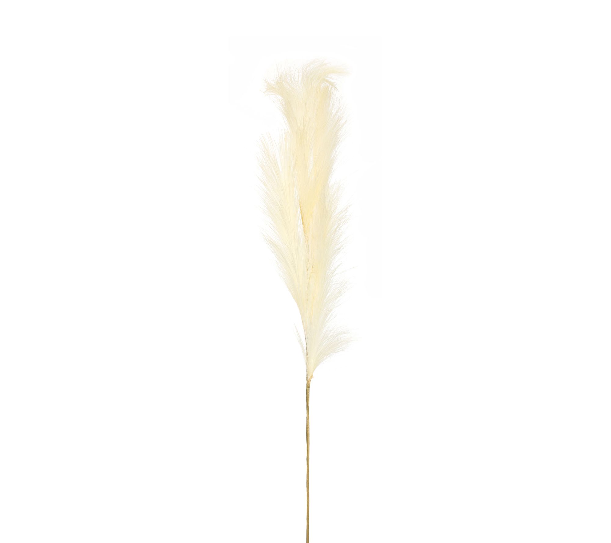 Light Pink Pampas Grass Spray, 49