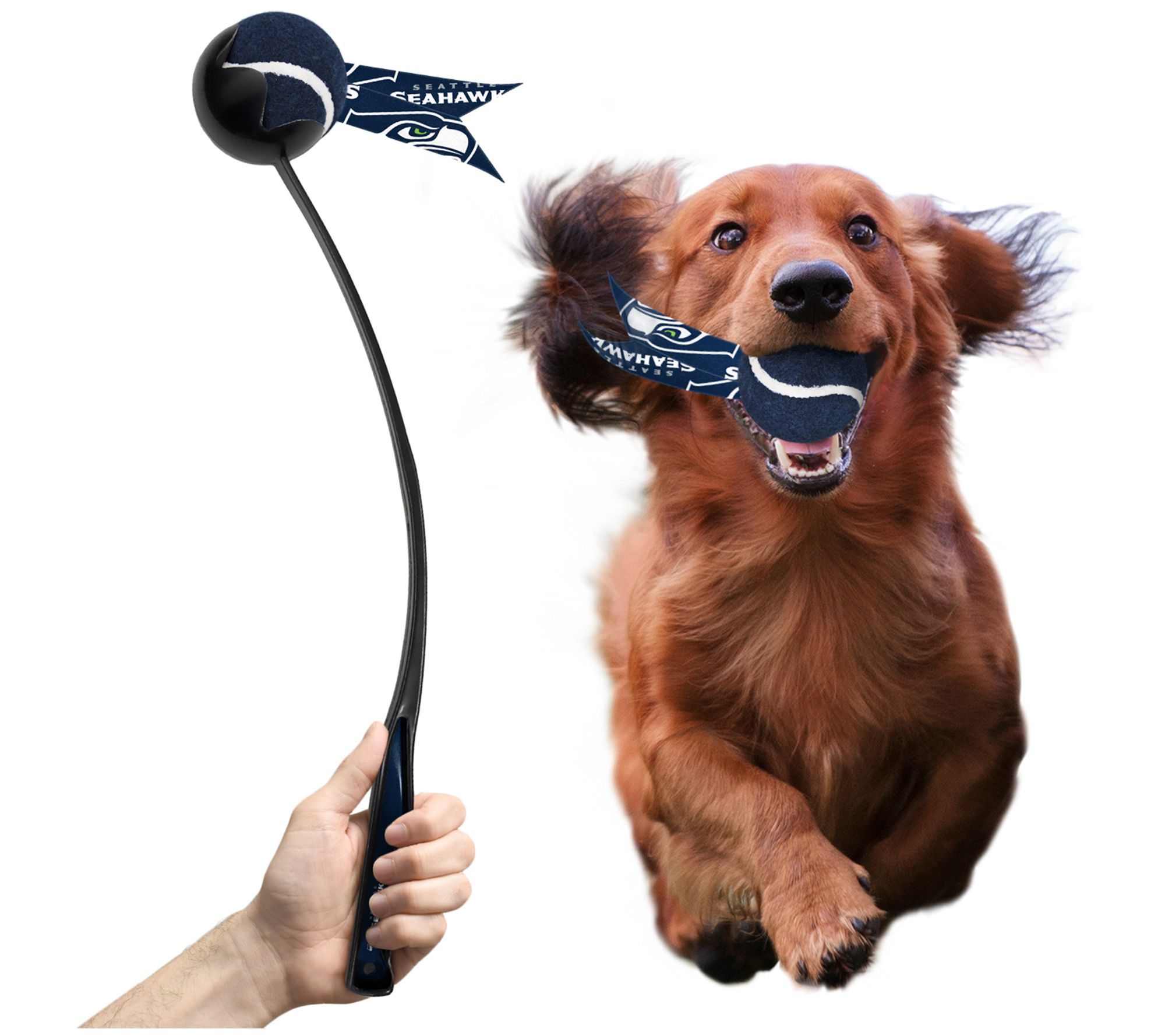 Littlearth NFL Pet Ball Launcher