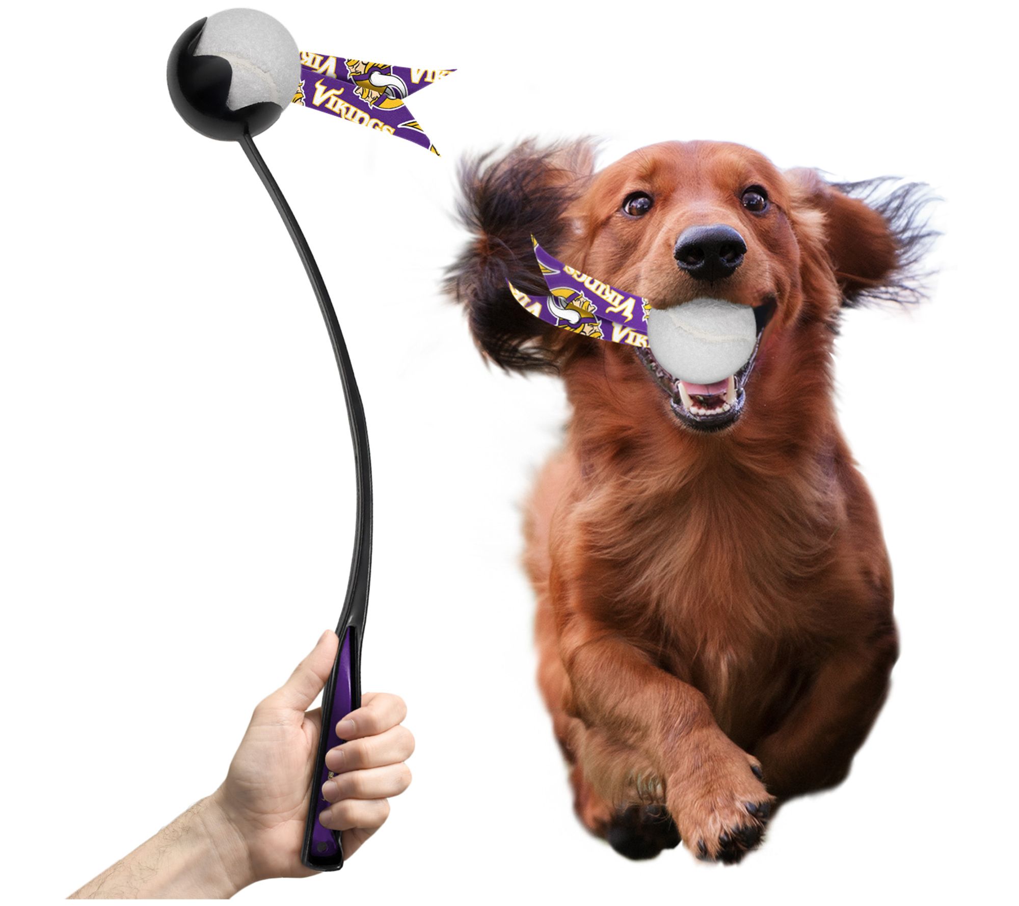 Littlearth NFL Pet Ball Launcher