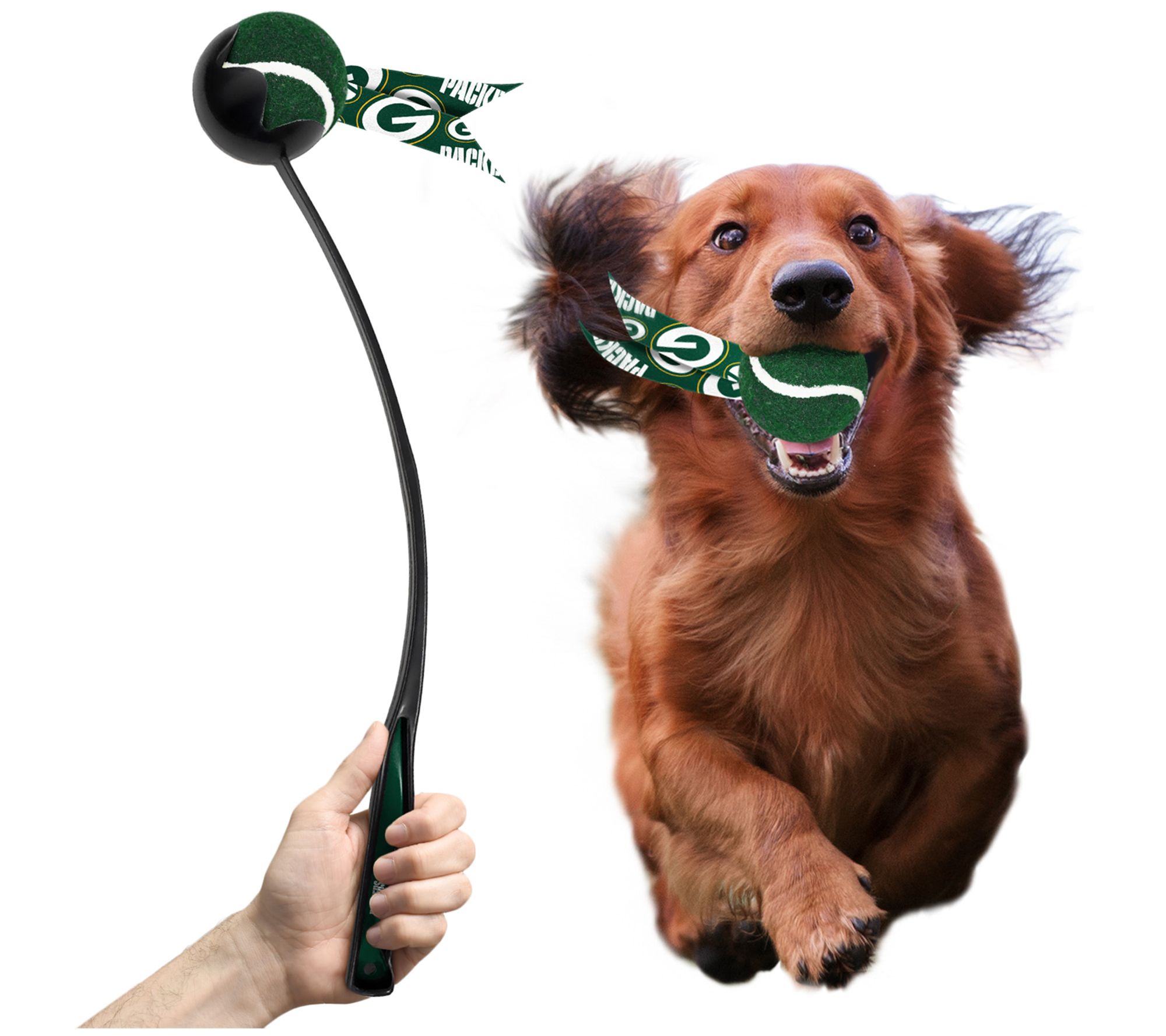 Littlearth NFL Pet Ball Launcher