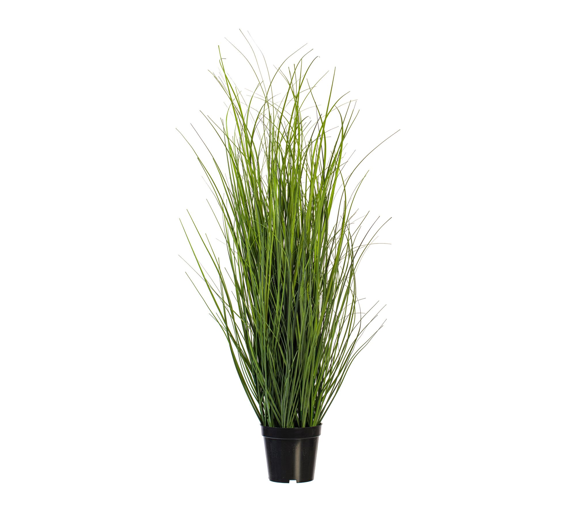 Vickerman 36" Green Tufted Hairgrass Potted UV