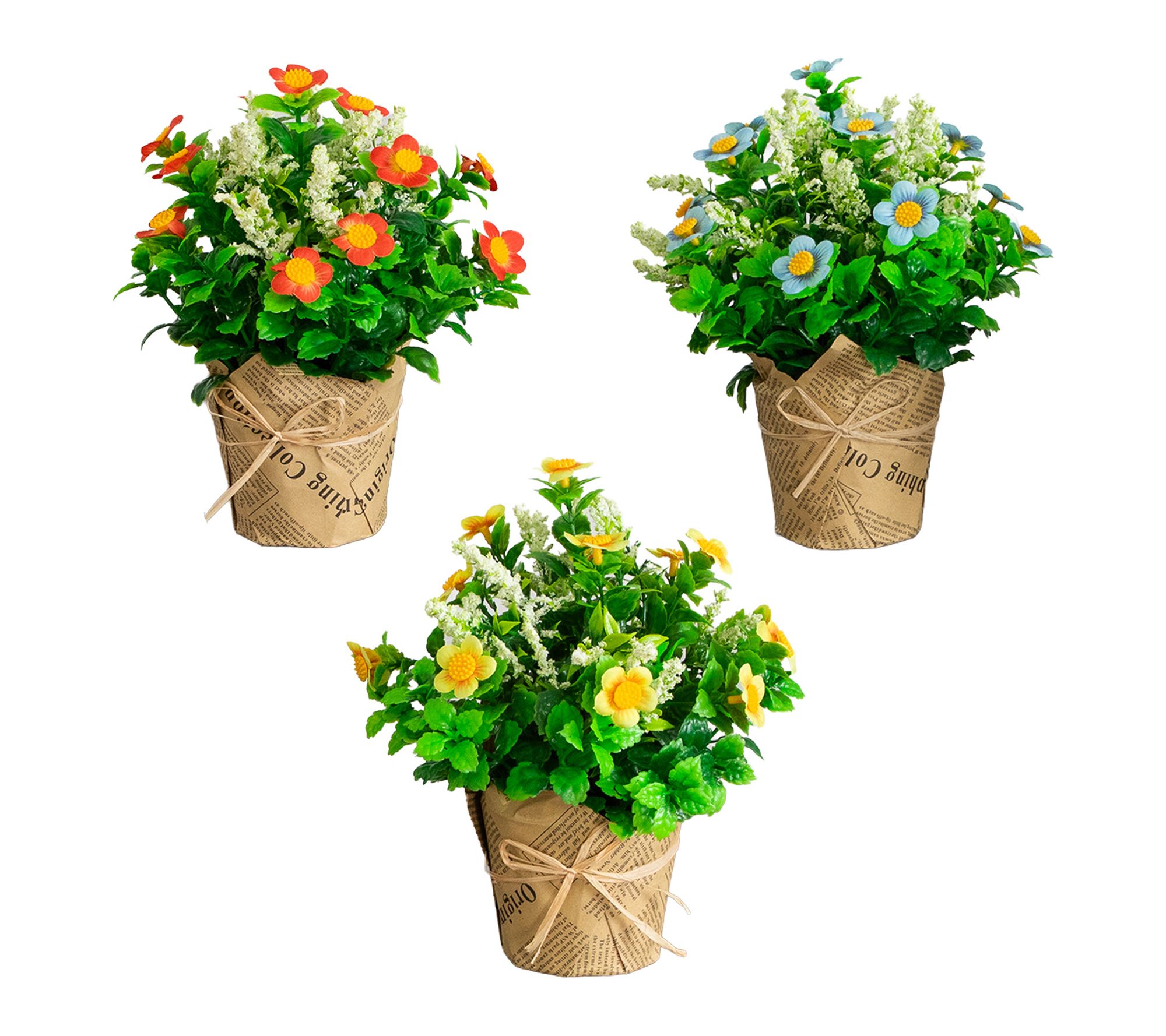 Flowering Daisy in Planter - Set of 3 by Nearly Natural