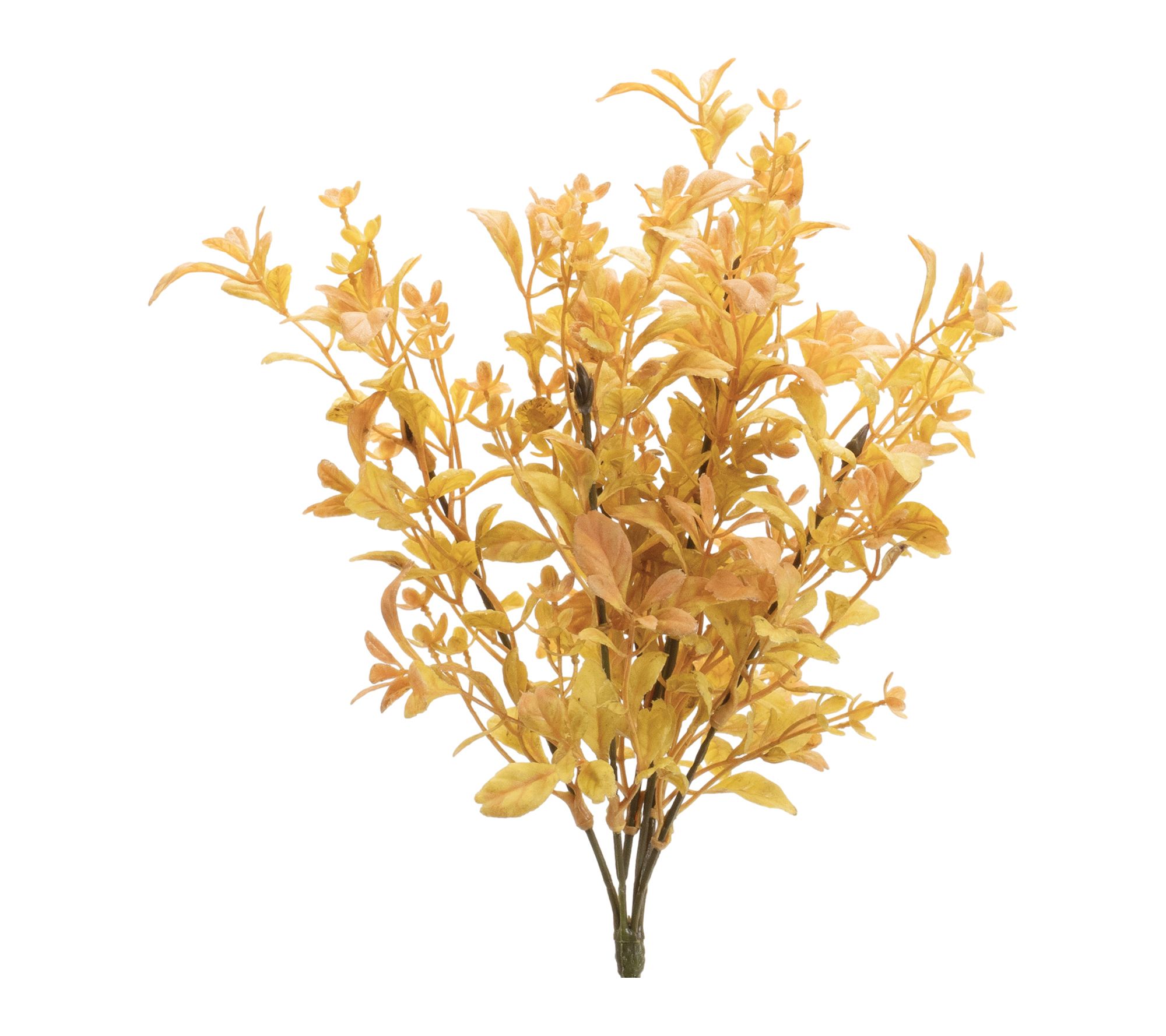 Melrose Mixed Fall Foliage Bush (Set of 6)