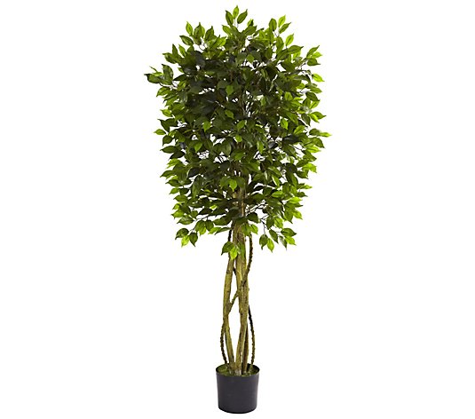 5-1/2' Indoor/Outdoor Ficus Tree by Nearly Natural