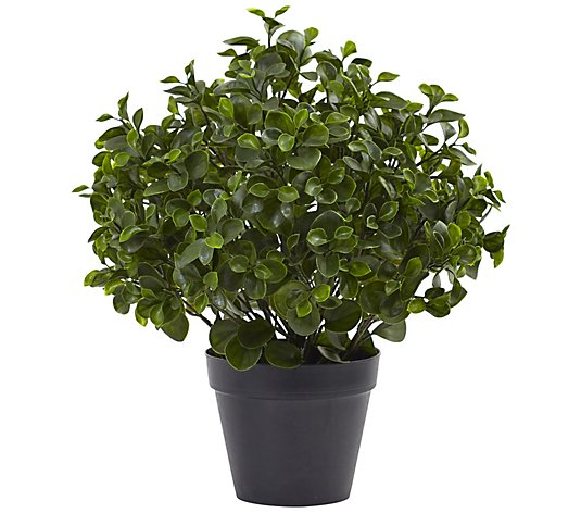 23" Peperomia Plant UV-Resistant by Nearly Natural