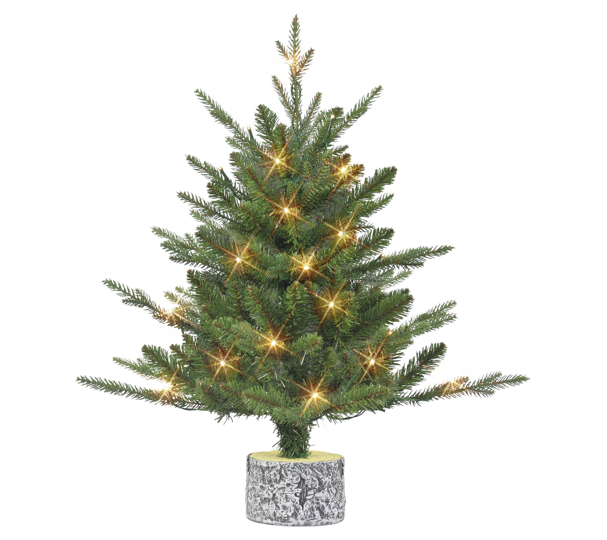 Puleo 2' Pre-lit Artificial Potted Tree