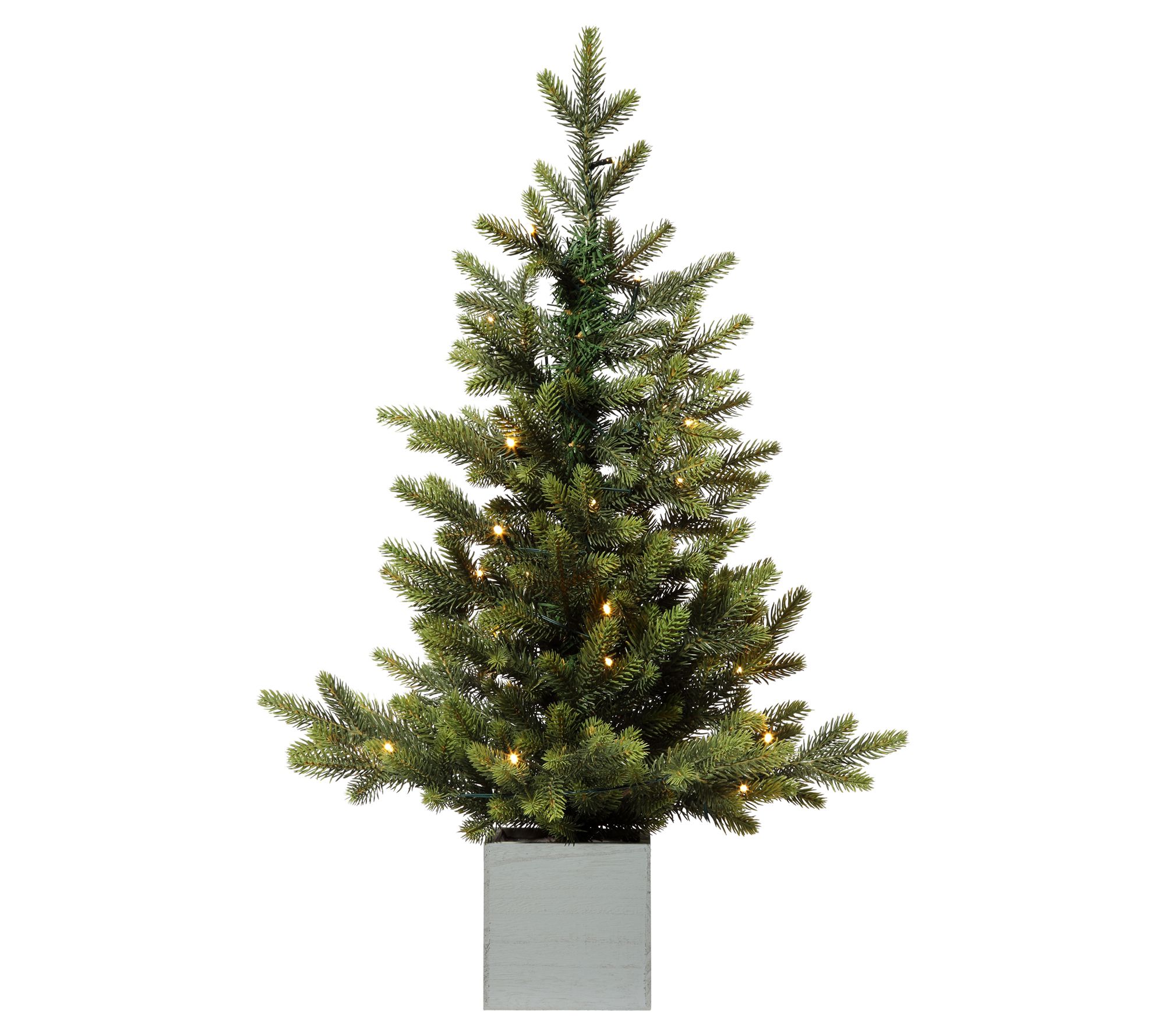 Haute Decor 30" Prelit Fraser Fir in Pot, 35 Concave LED