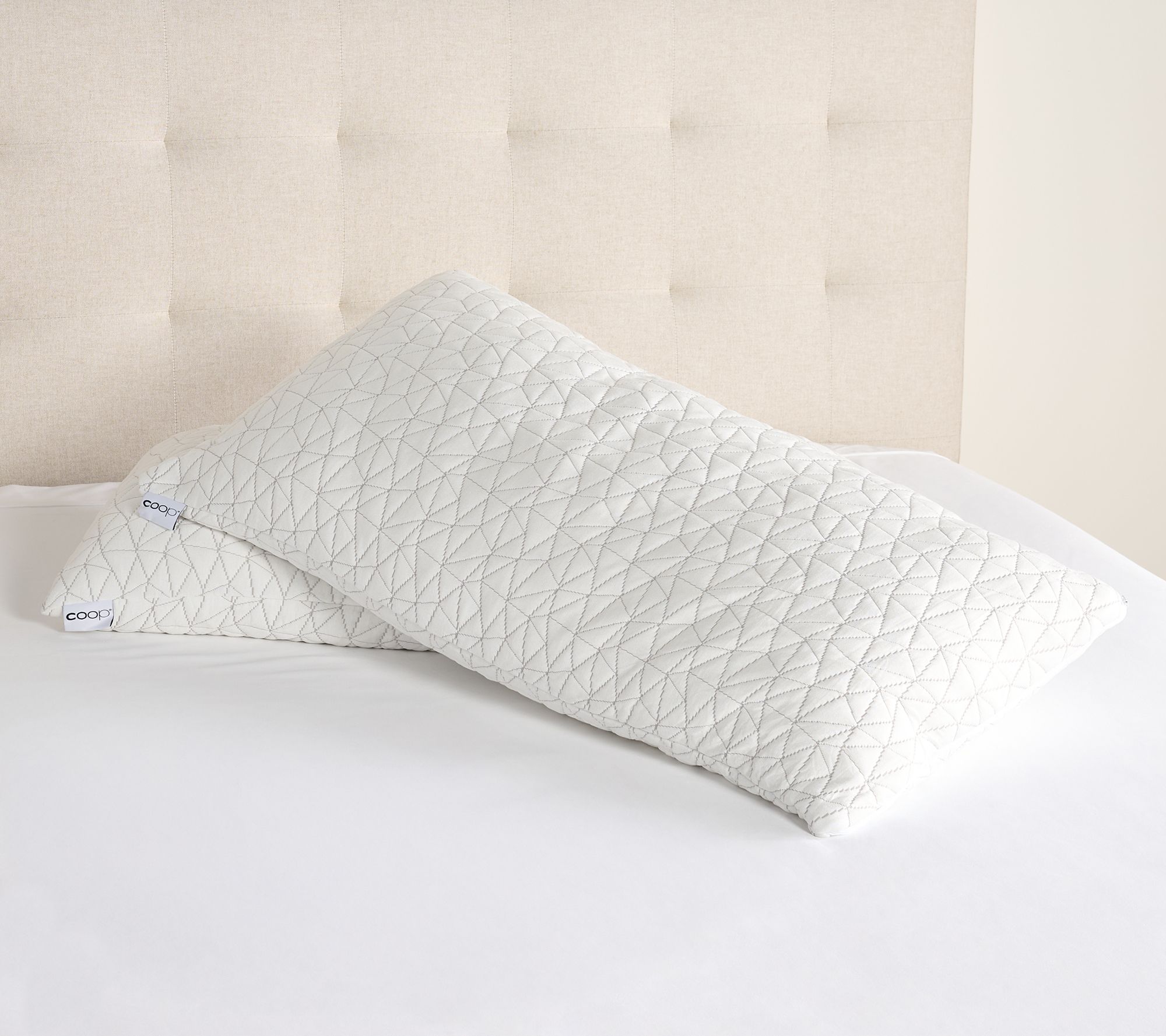 Coop Sleep Goods Original Adjustable Pillow 2pk-King