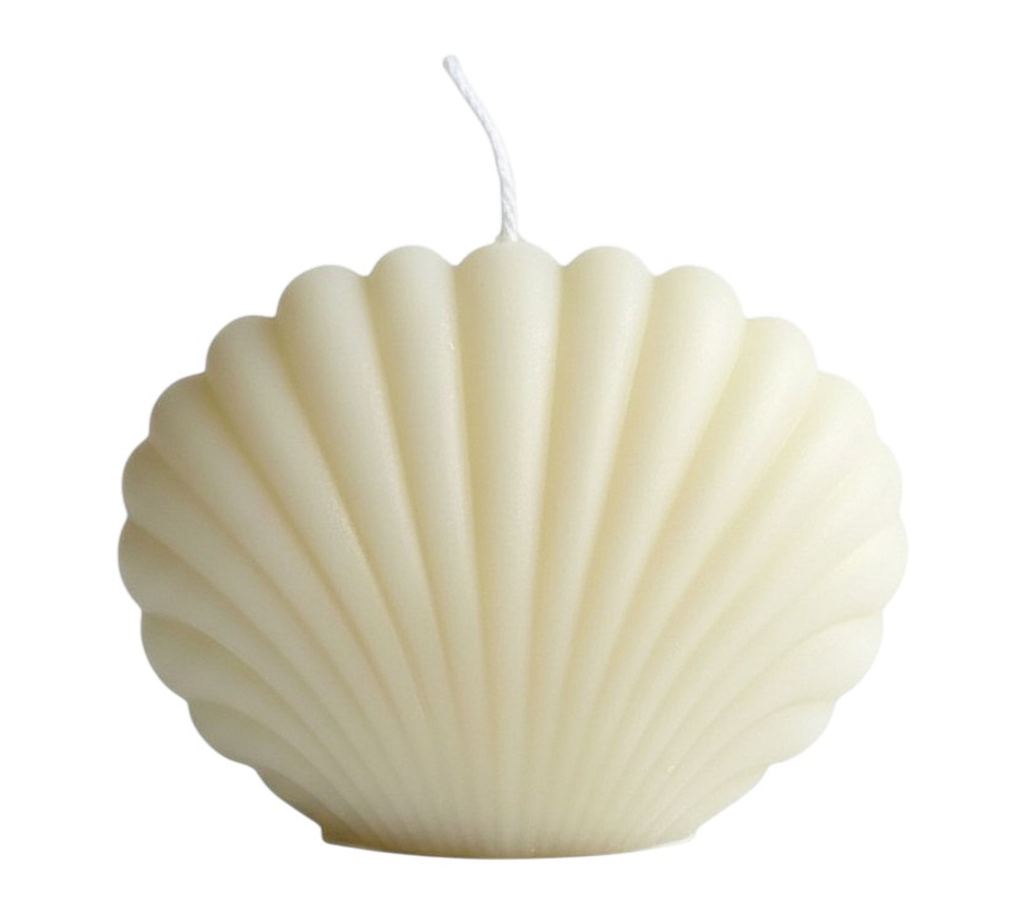 HomeRoots 4" Ivory Unscented Dimensional Seashell Candle