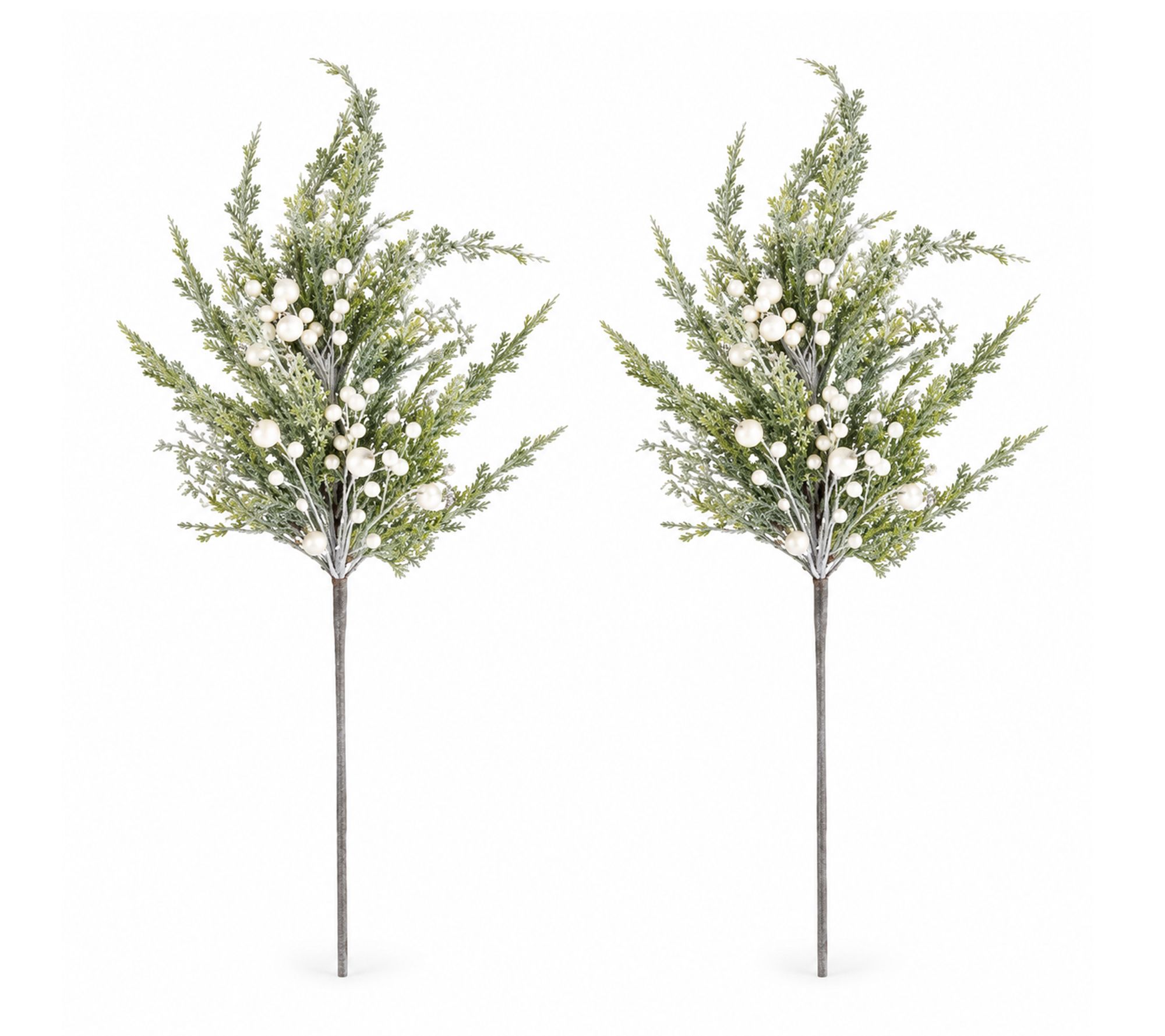 RC Home Decor -Set of 2 Cypress Pine Sprays w/Pearl Accents-30"L
