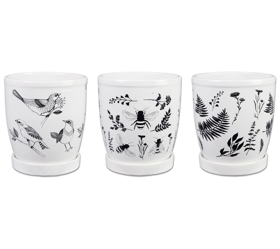 Young's Black/White Ceramic Planters, Set of 3