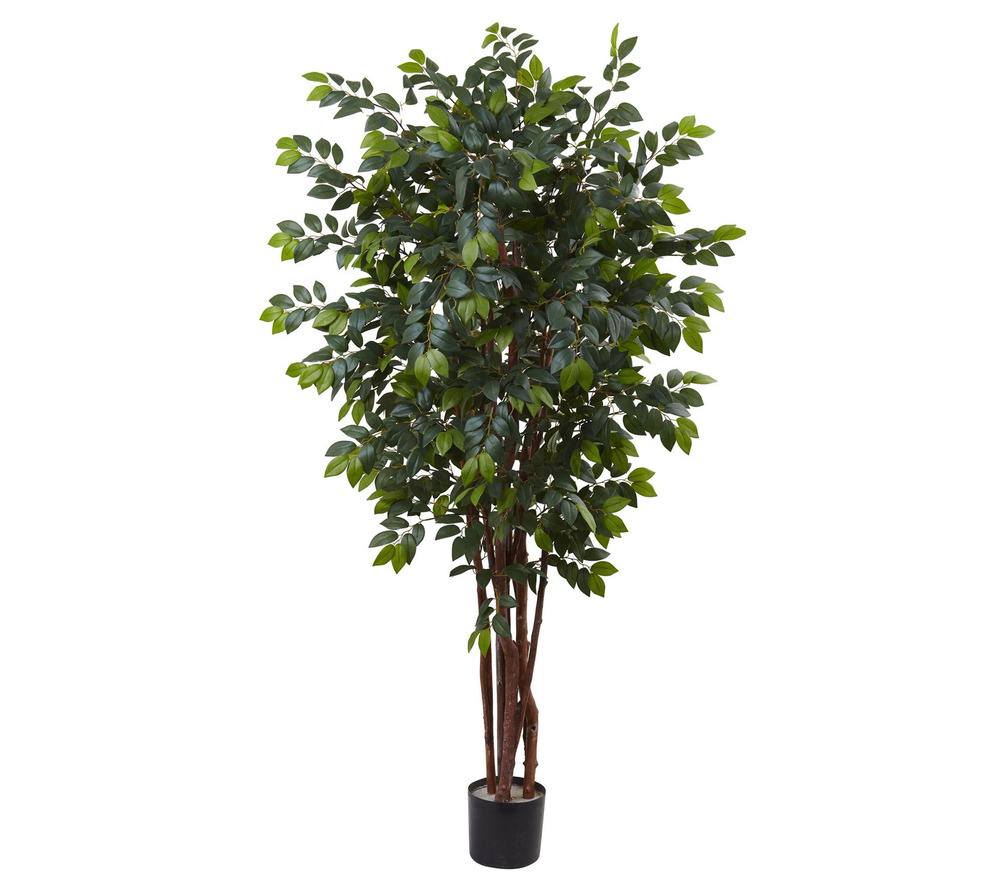 7' Sakaki Silk Tree by Nearly Natural