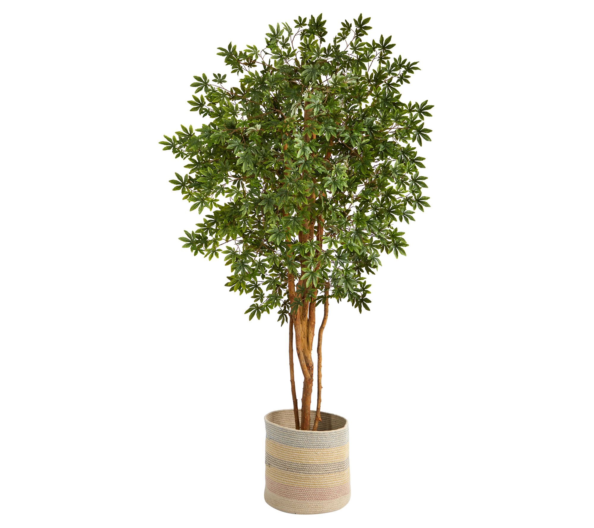 Nearly Natural 6' Japanese Maple/Natural Multicolored Planter