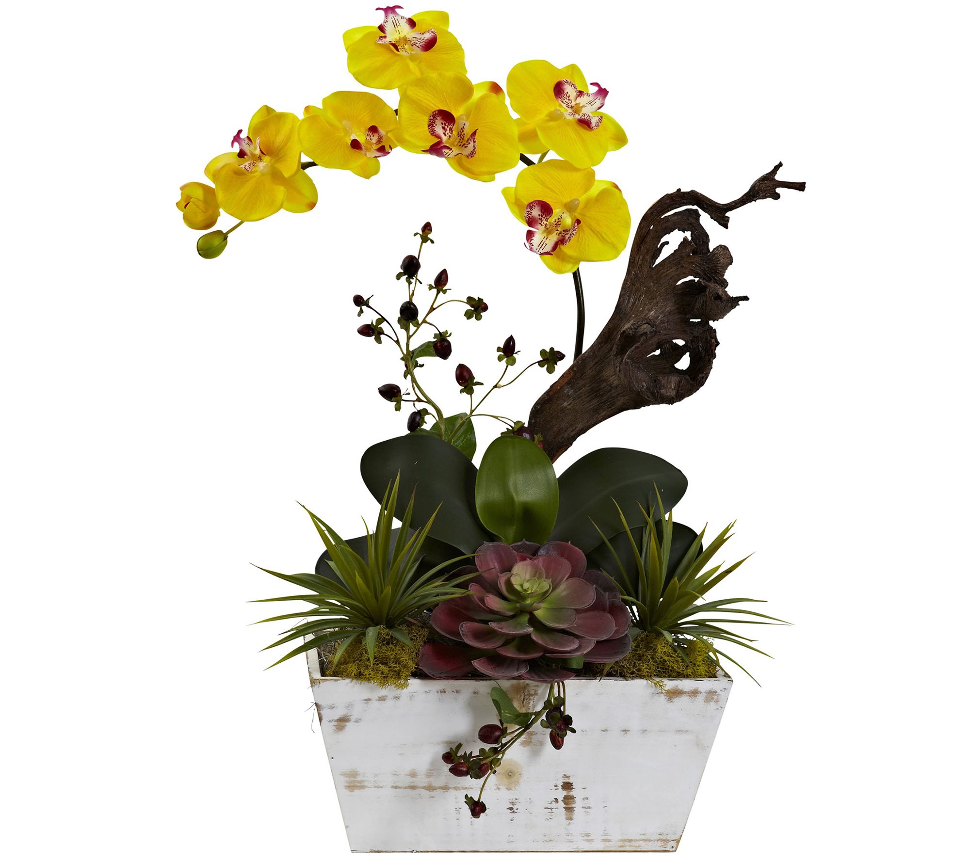 Orchid & Succulent Garden with Planter by Nearly Natural