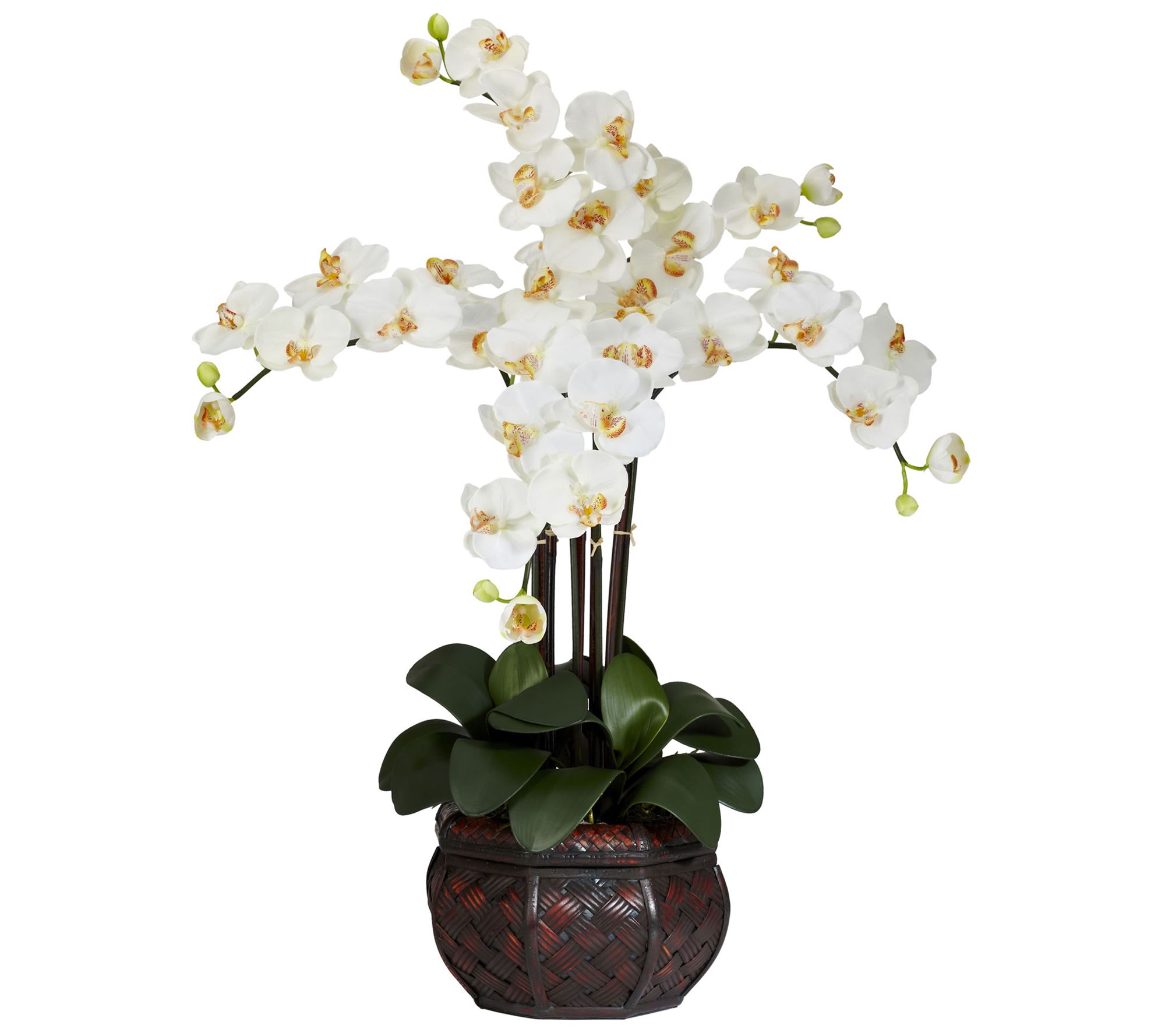Phalaenopsis Vase Silk Flower Arrangement by Nearly Natural