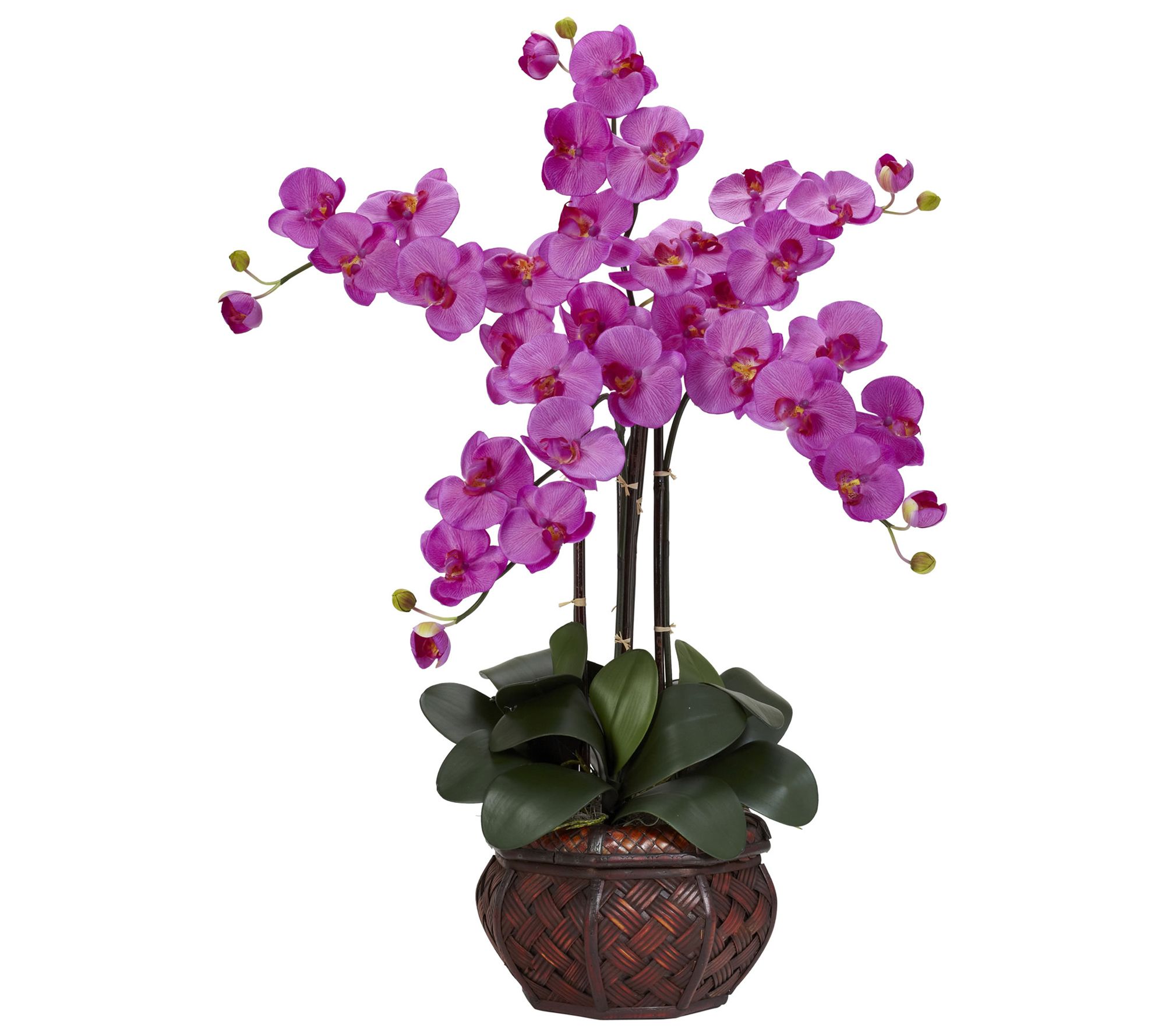 Phalaenopsis Vase Silk Flower Arrangement by Nearly Natural
