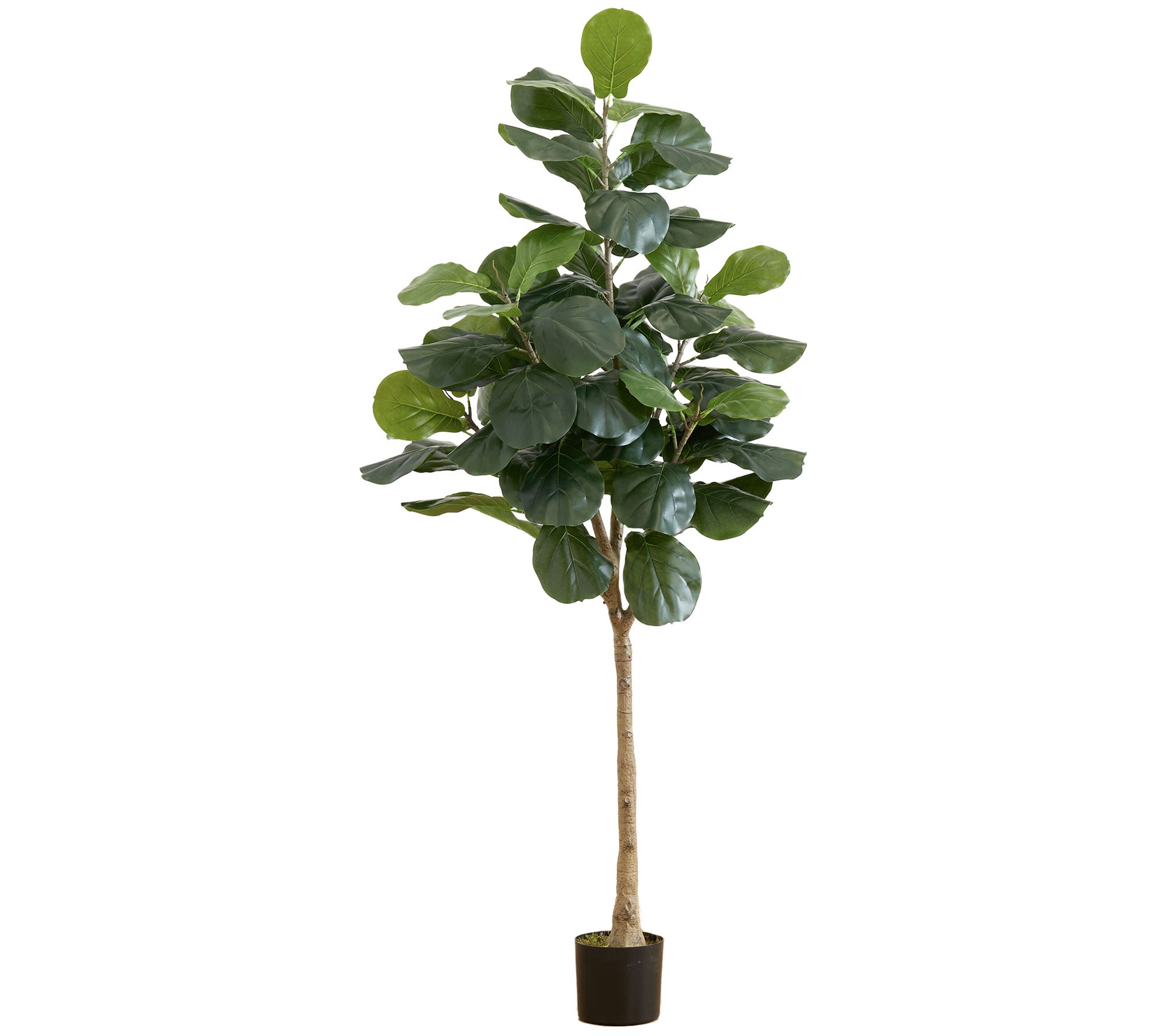 Nearly Natural 6' Fiddle Leaf Tree