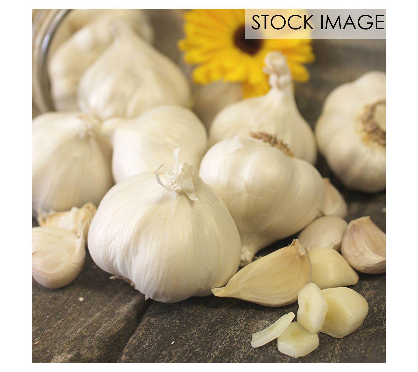 Van Zyverden Garlic Softneck Silverskin Silver Rose 3 Cloves