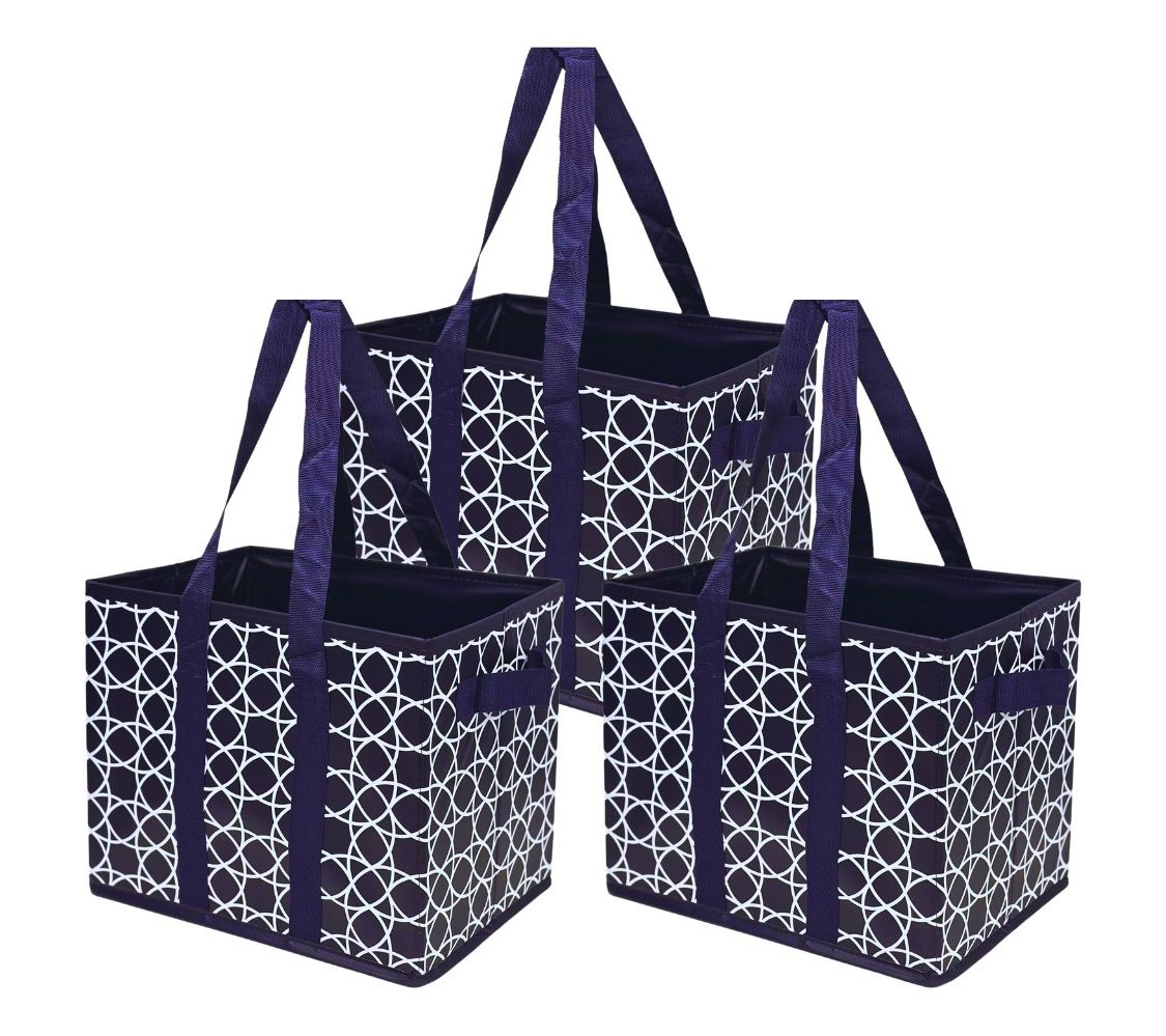 DuraSack Set of 3 Small 13" Collapsible StorageTotes