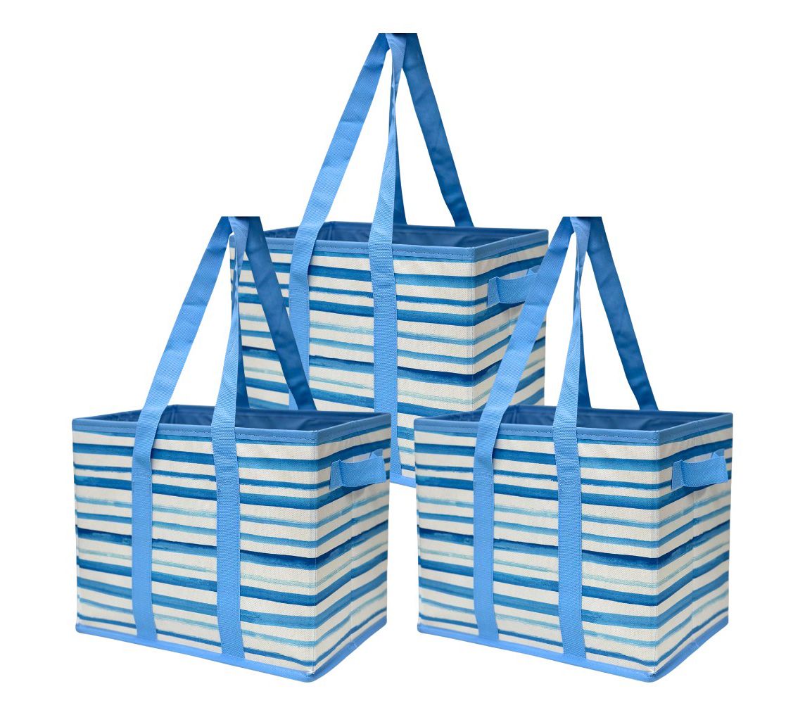 DuraSack Set of 3 Small 13" Collapsible StorageTotes