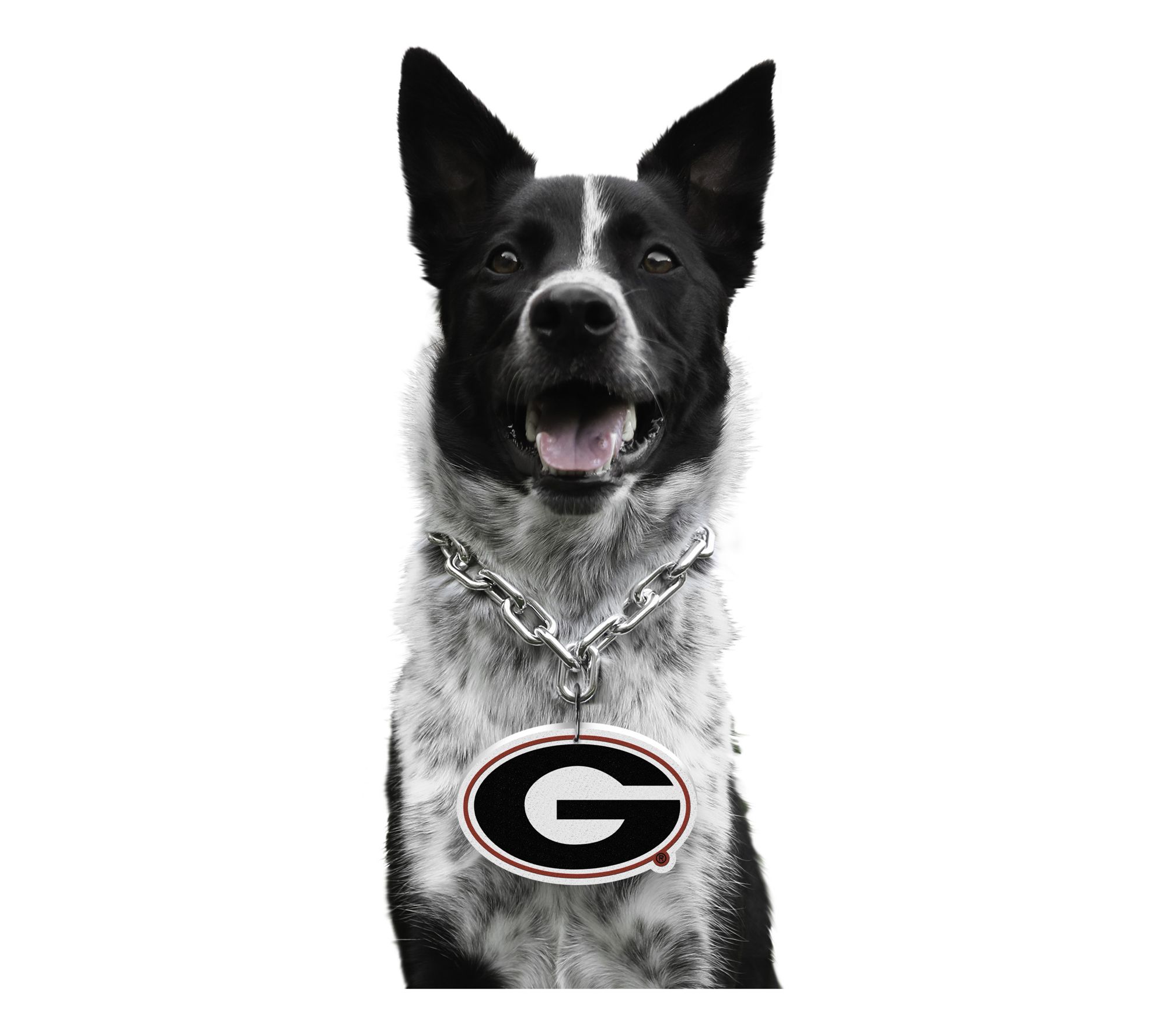 Littlearth NCAA Pet Fan Chain