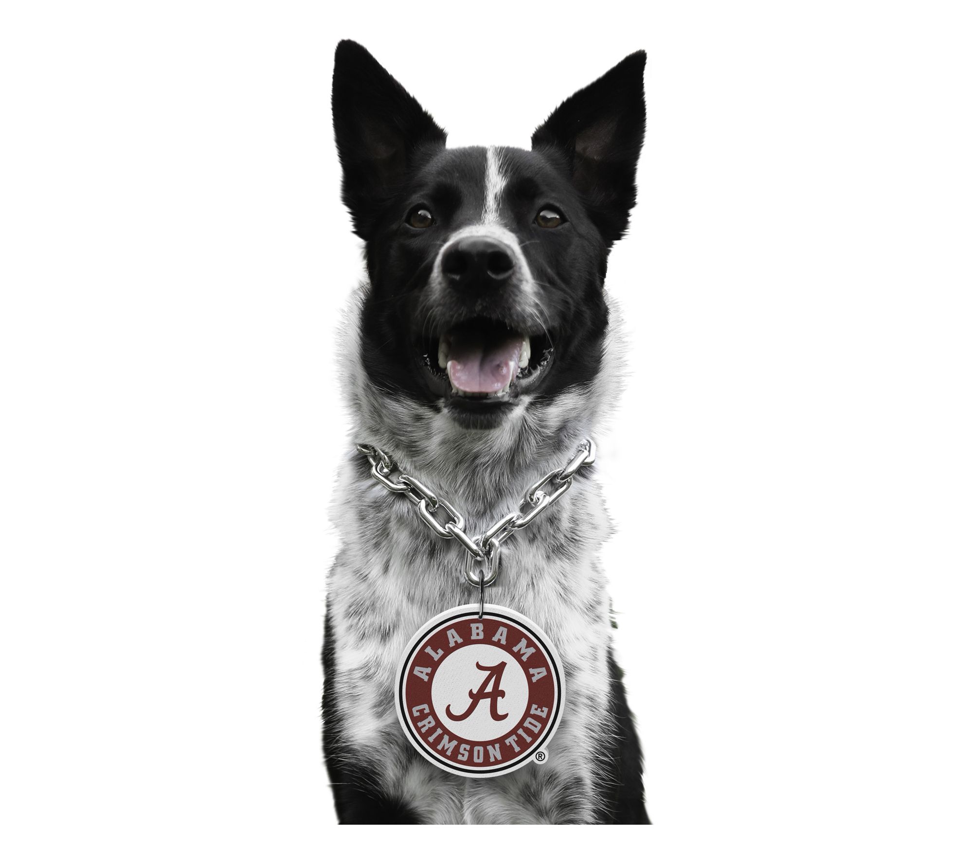 Littlearth NCAA Pet Fan Chain