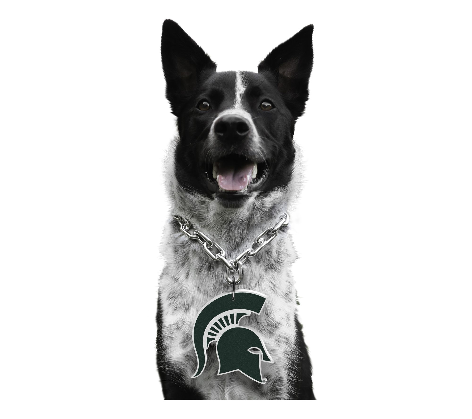Littlearth NCAA Pet Fan Chain