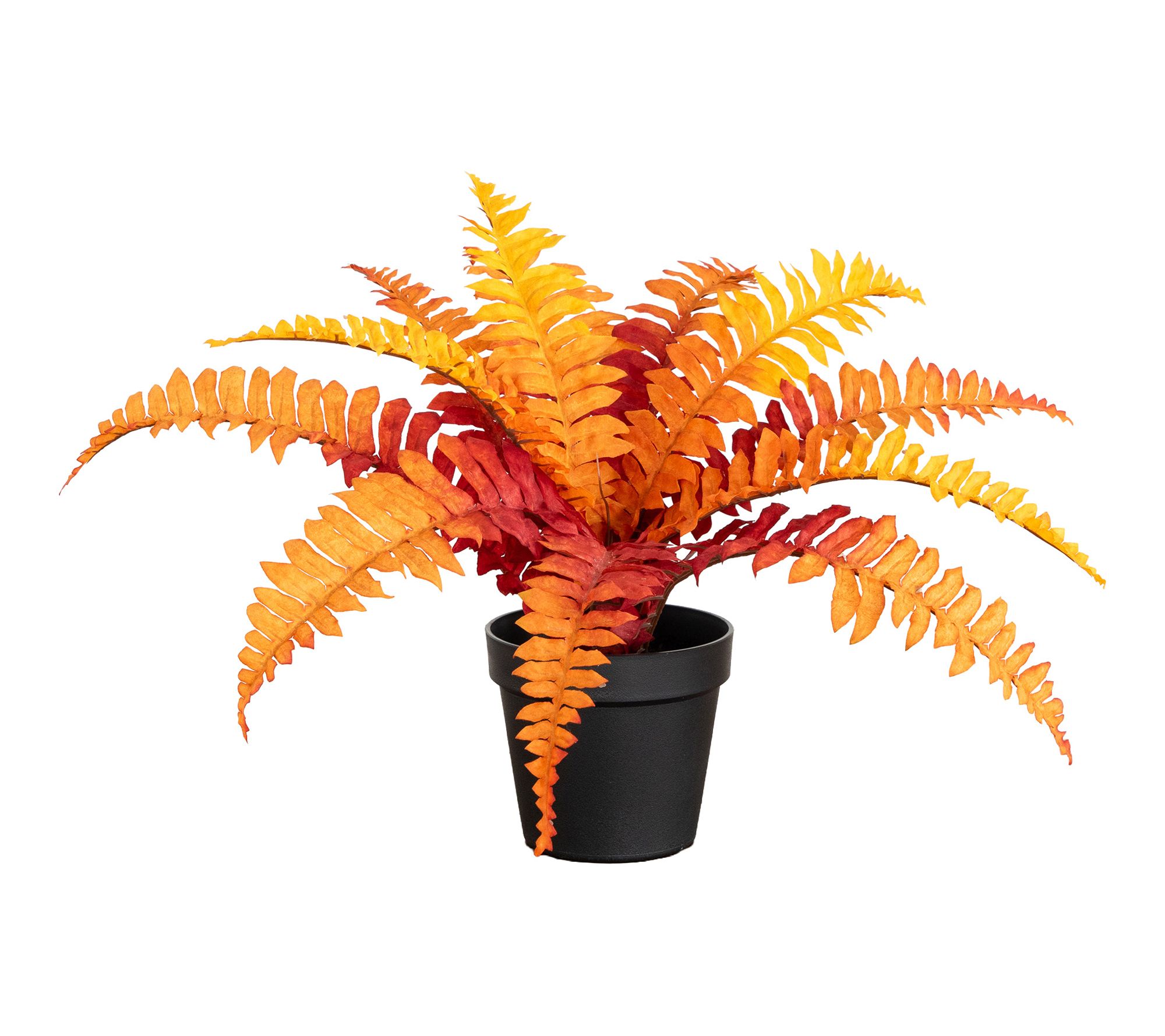 13-in Fall Boston Fern Plant by Nearly Natural