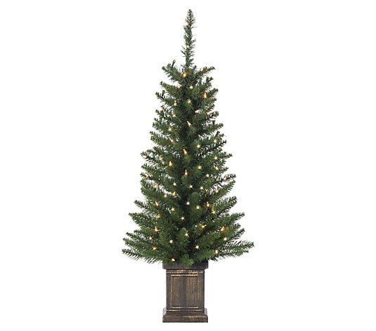 3.5' Potted Colorado Spruce w/ 50 LED Lights bySterling Co