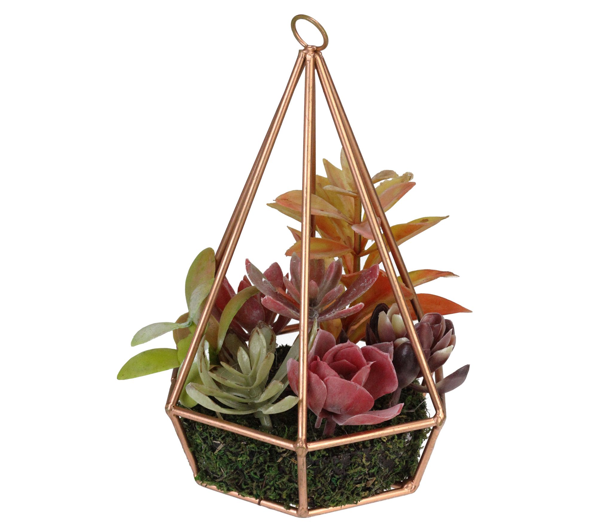 Northlight 9" Artificial Succulents Arrangementin 6-Sid
