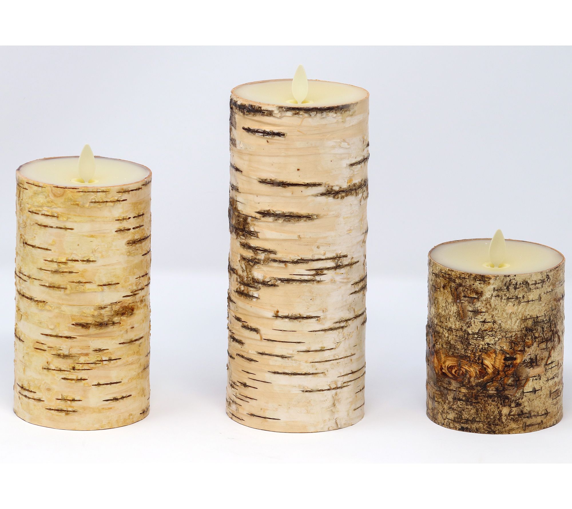 Luminara Set of (3) Birch Bark Flameless Candle Garden