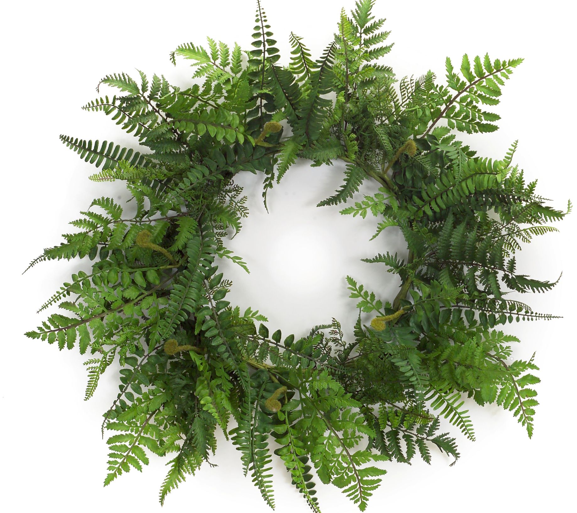 Melrose Mixed Fern Floral Grapevine Wreath 24"D