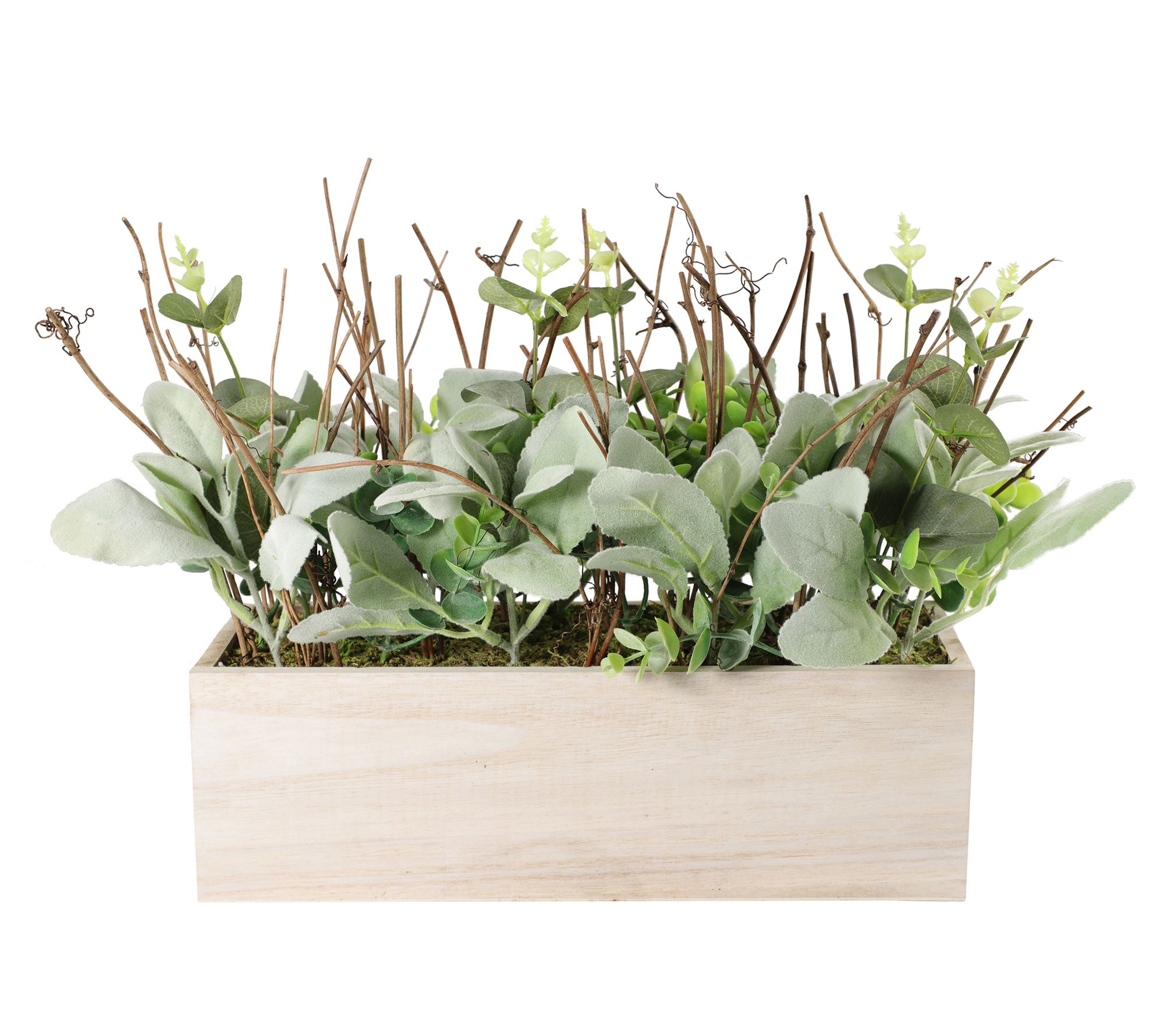 Puleo 11" Lambs Ear Centerpiece w/Twigs & Greenery in Wood