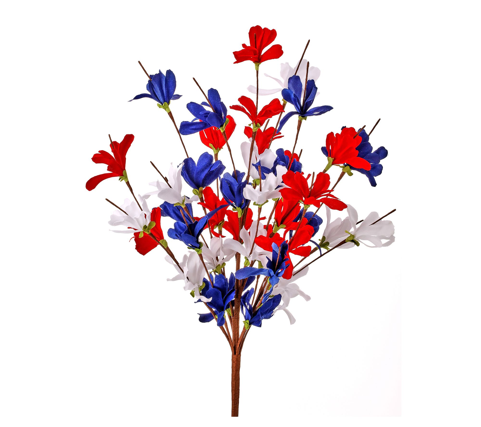 19" Independence Azalea Bush by Valerie