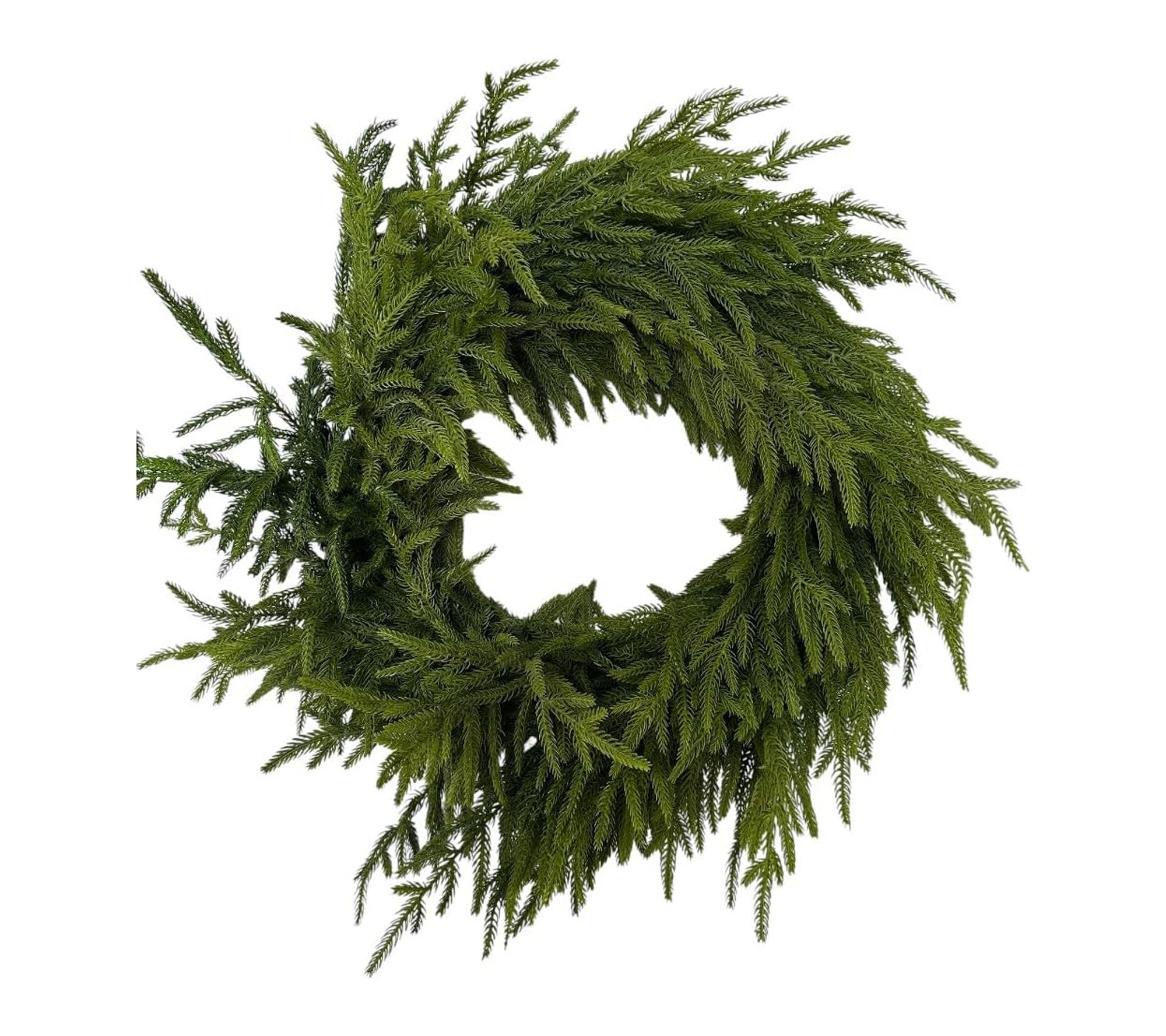 RC Home Decor 24" Garden Norfolk Pine Wreath Natural Touch