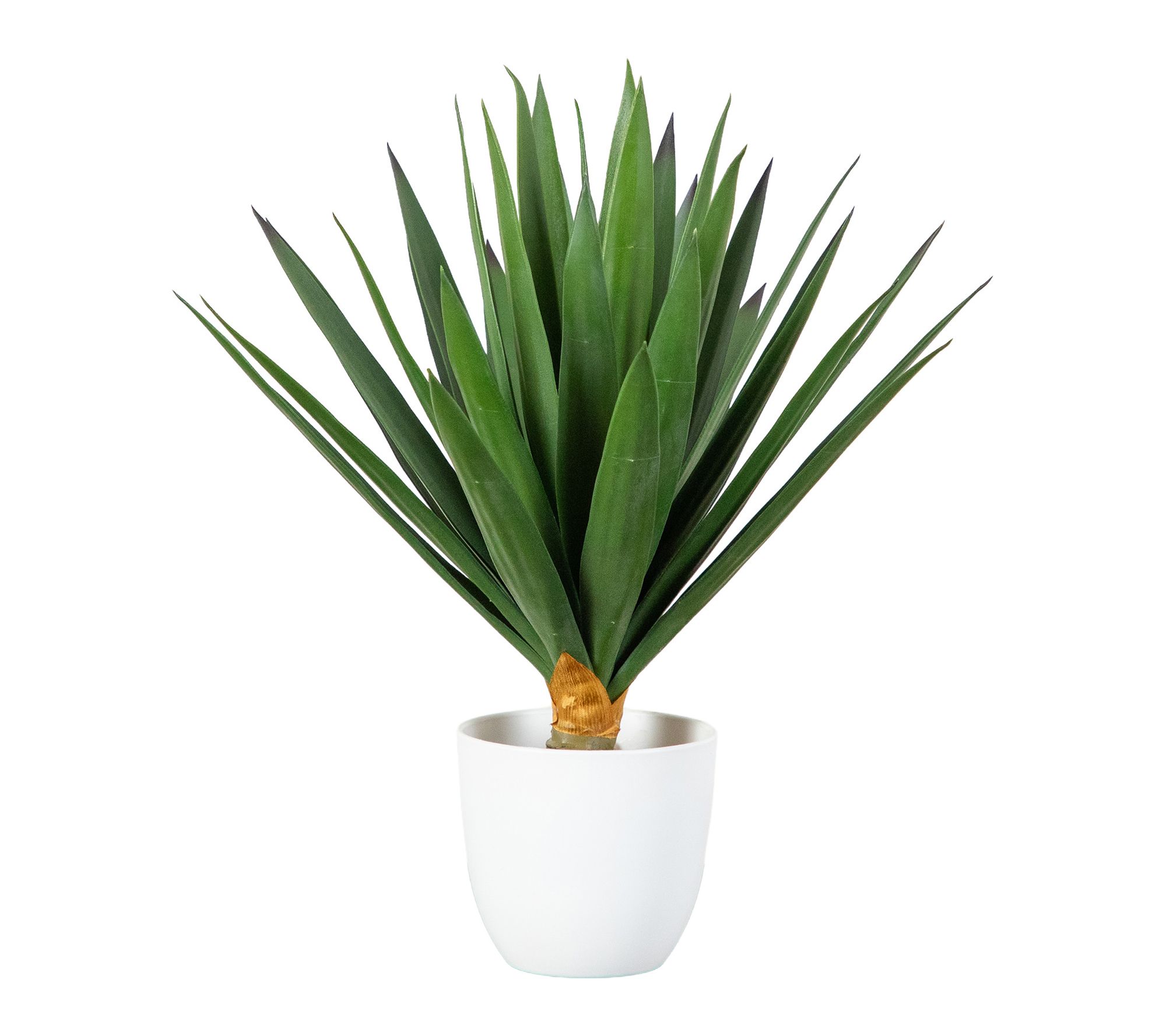 15-in UV Artificial Agave Plant in White Pot by Nearly Natural