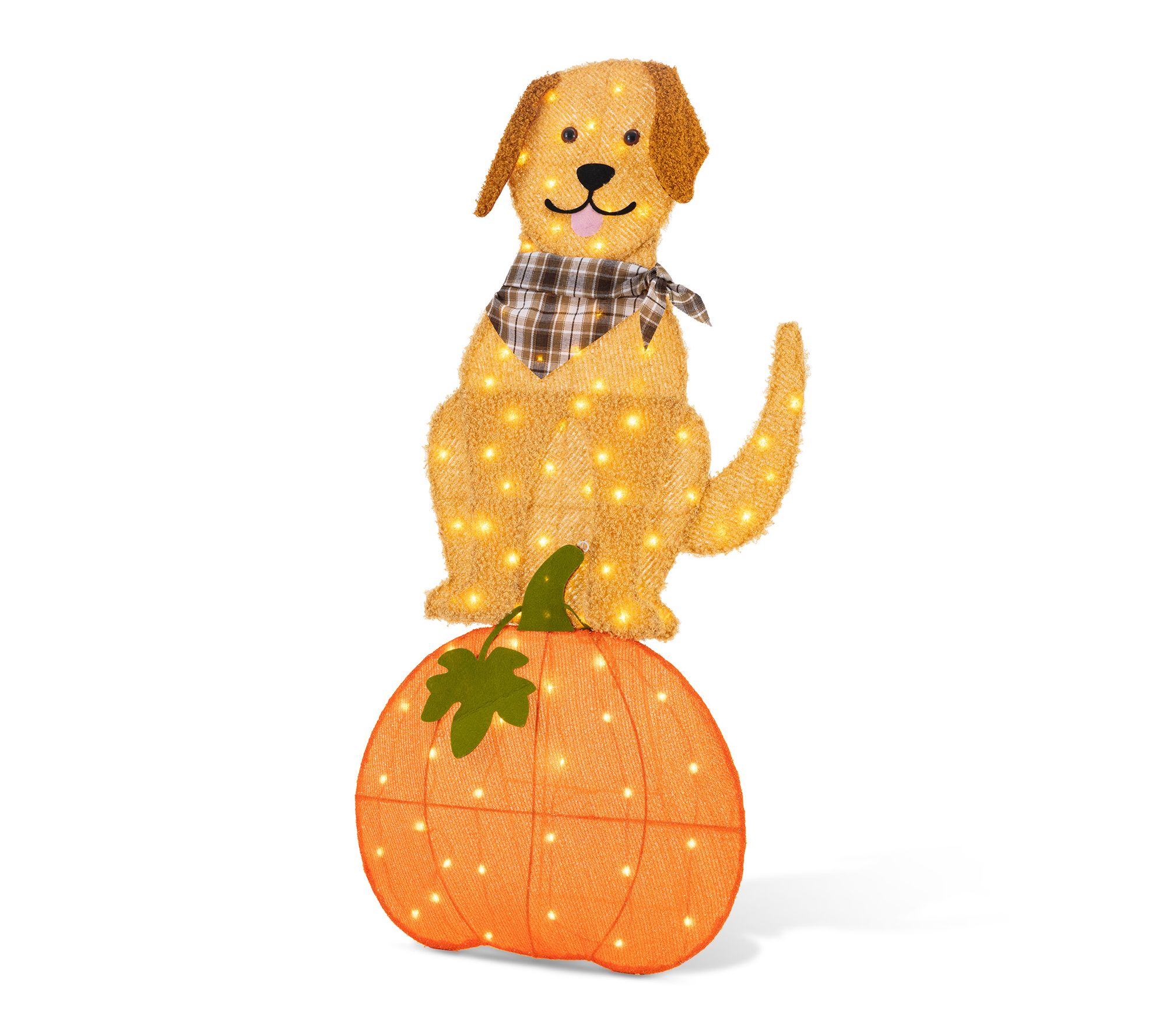 Glitzhome 47"H Fall Lighted Labrador on Pumpkin Outdoor Decor