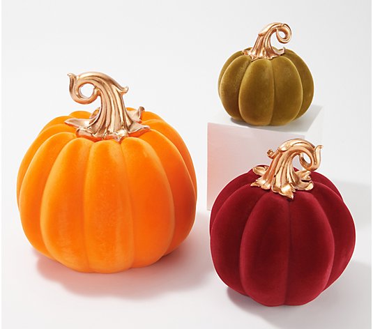 Barbara King Set of 3 Decorative Velvet Pumpkins