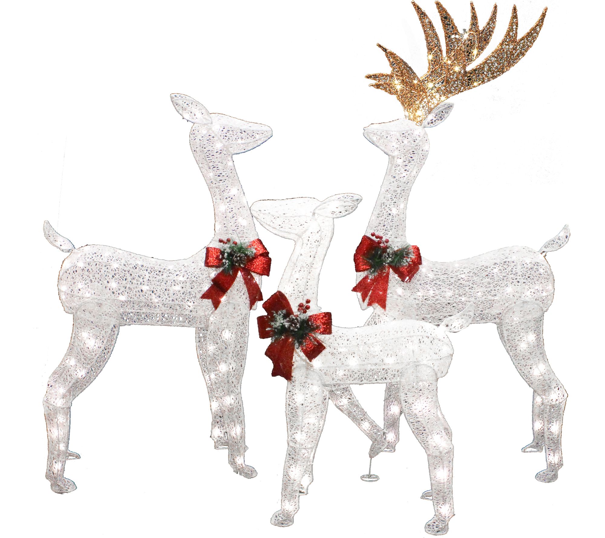 Joiedomi Deer Family Pack LED Yard Lights - QVC.com