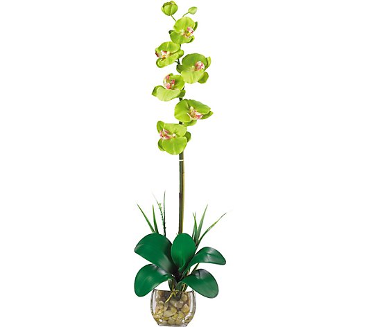 Single Phalaenopsis Flower Arrangement by Nearly Natural