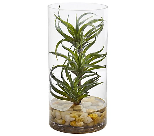 Air Plant Artificial Succulent in Vase by Nearly Natural