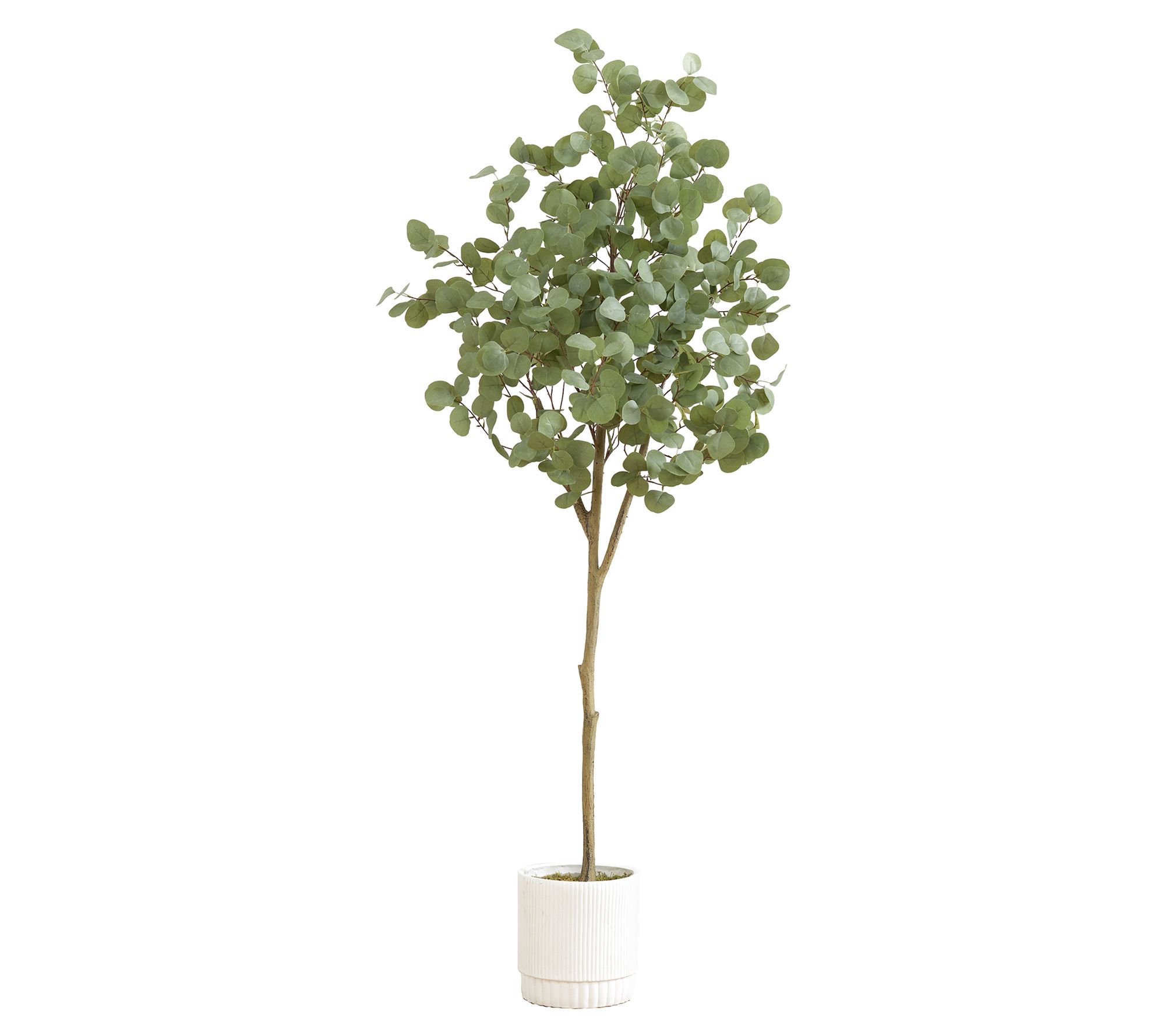 Nearly Natural 6' Artificial Eucalyptus Tree wi th Planter